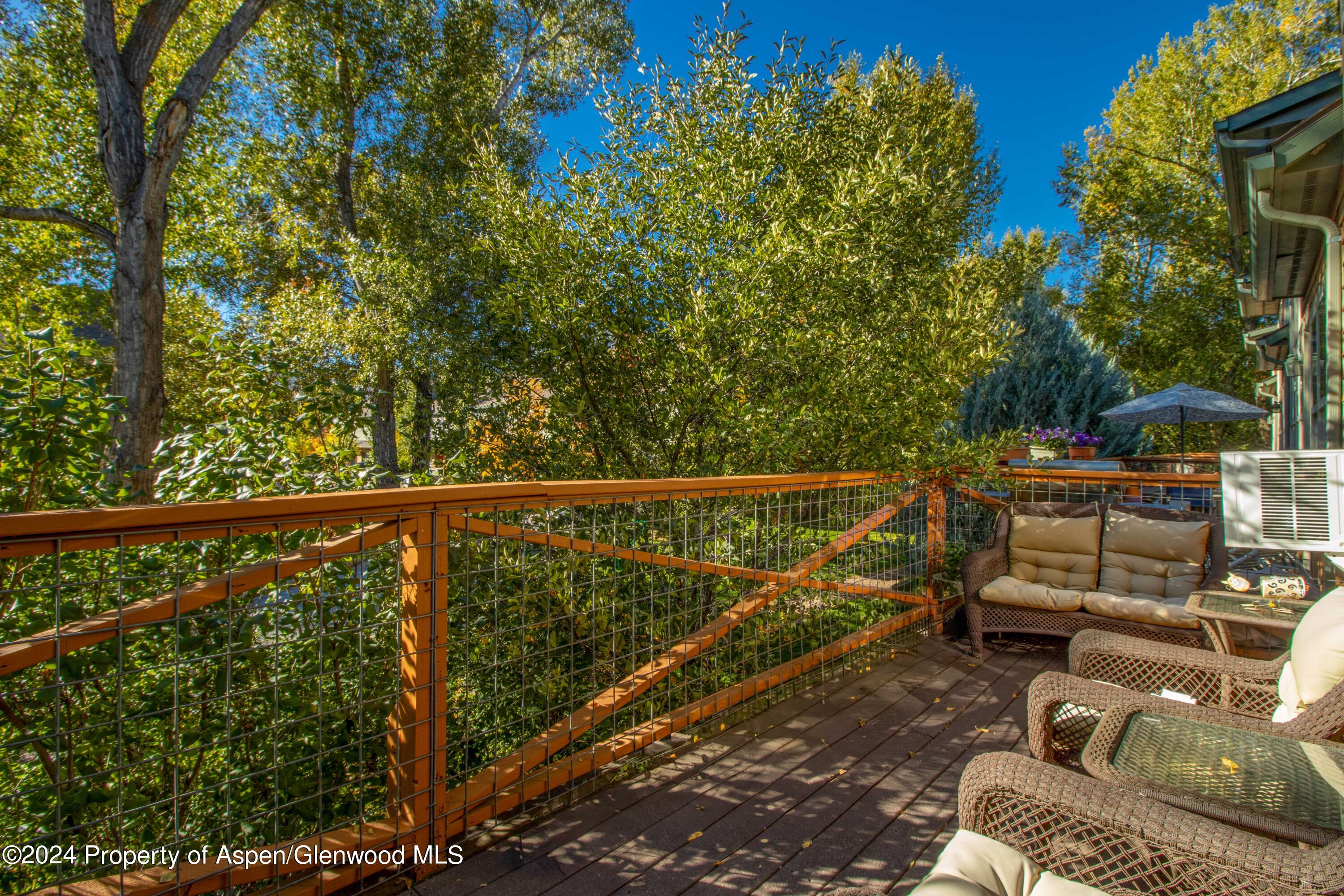 532 Evans Court Basalt CO 81621