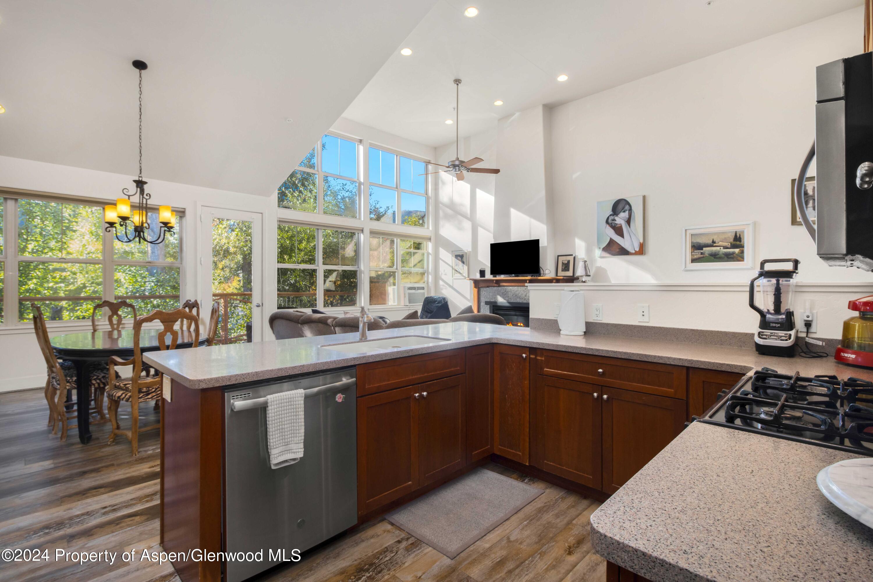 532 Evans Court Basalt CO 81621