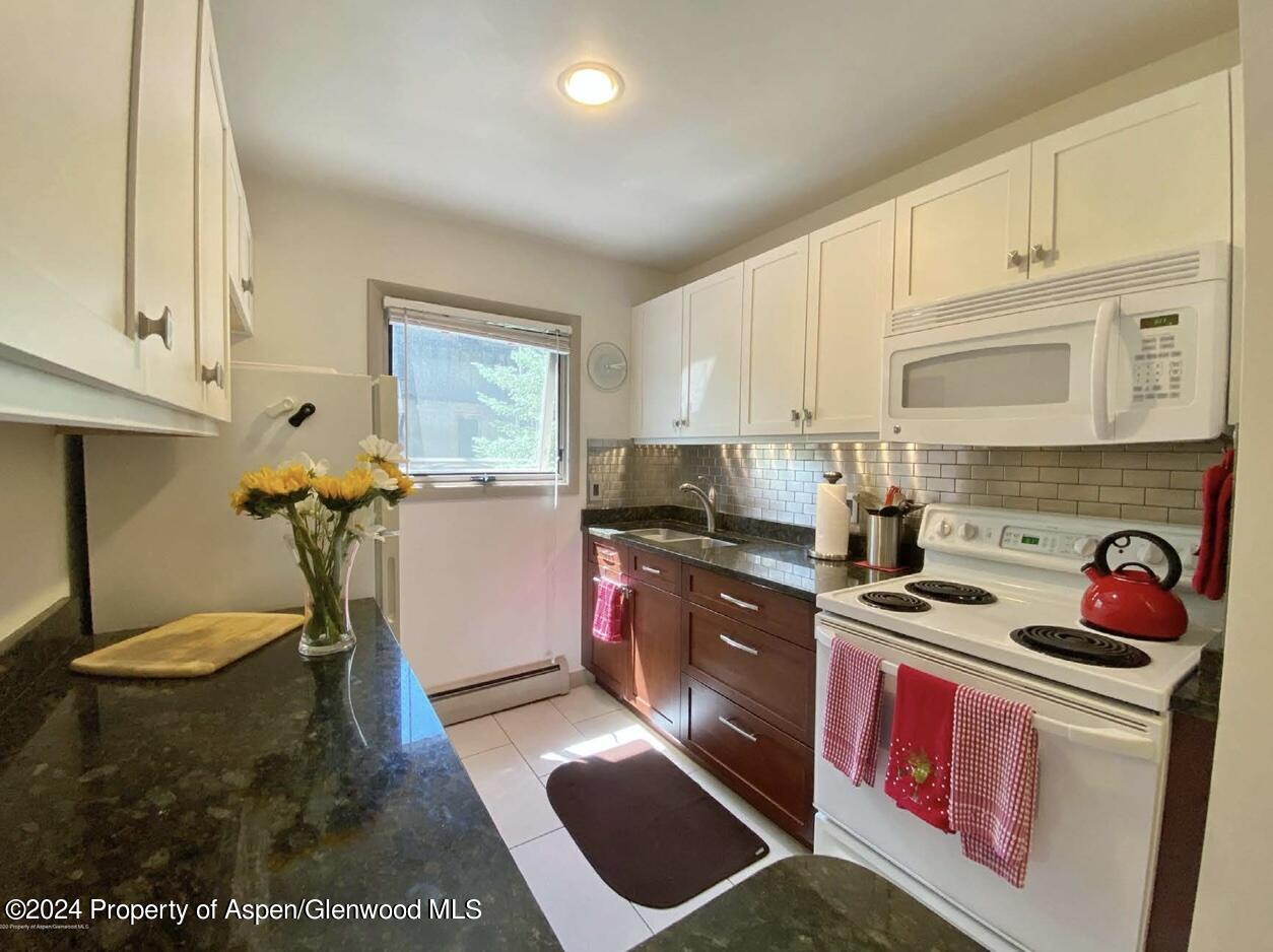 700 W Hopkins Avenue Aspen CO 81611