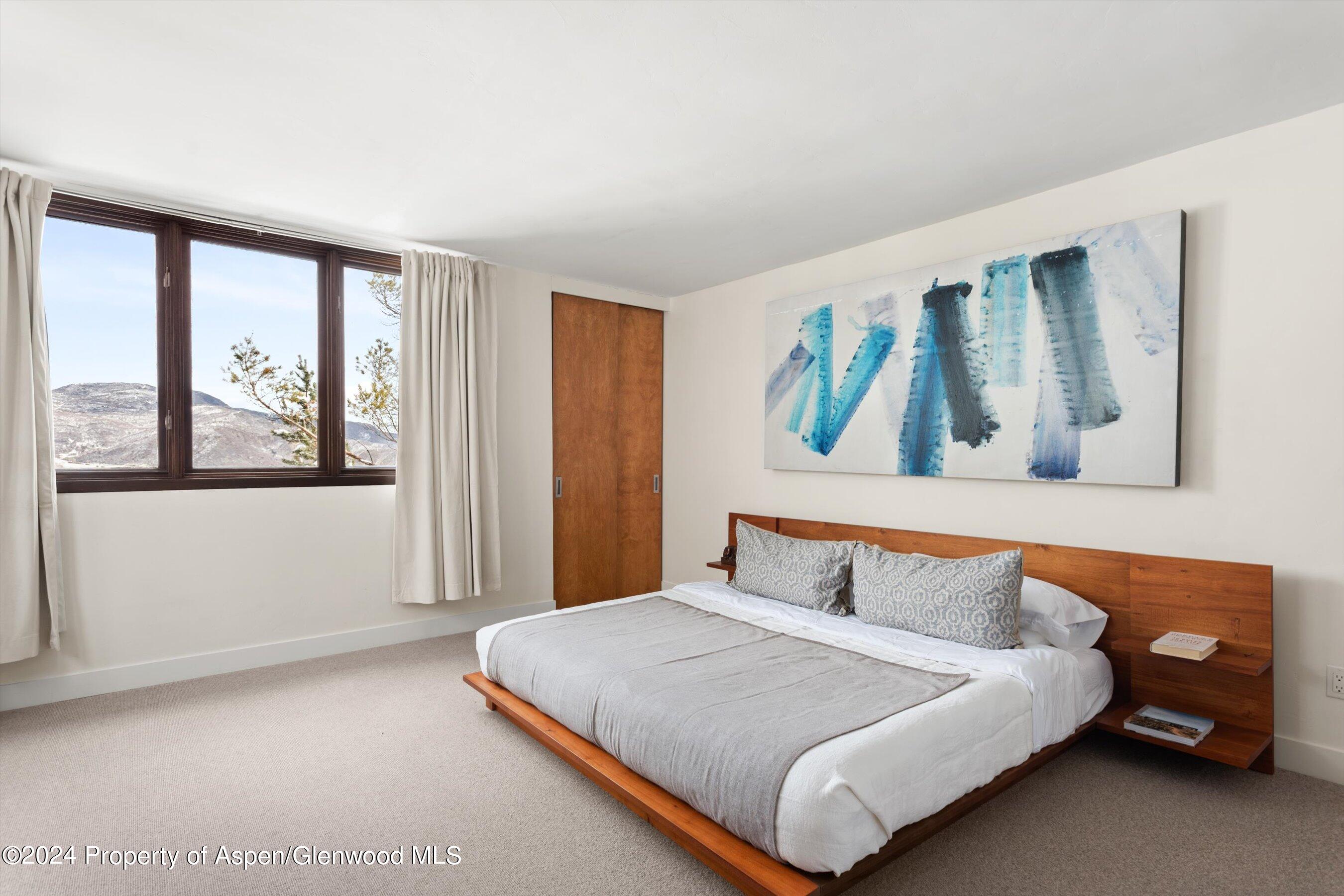 382 Meadow Ranch Road Snowmass Village CO 81615