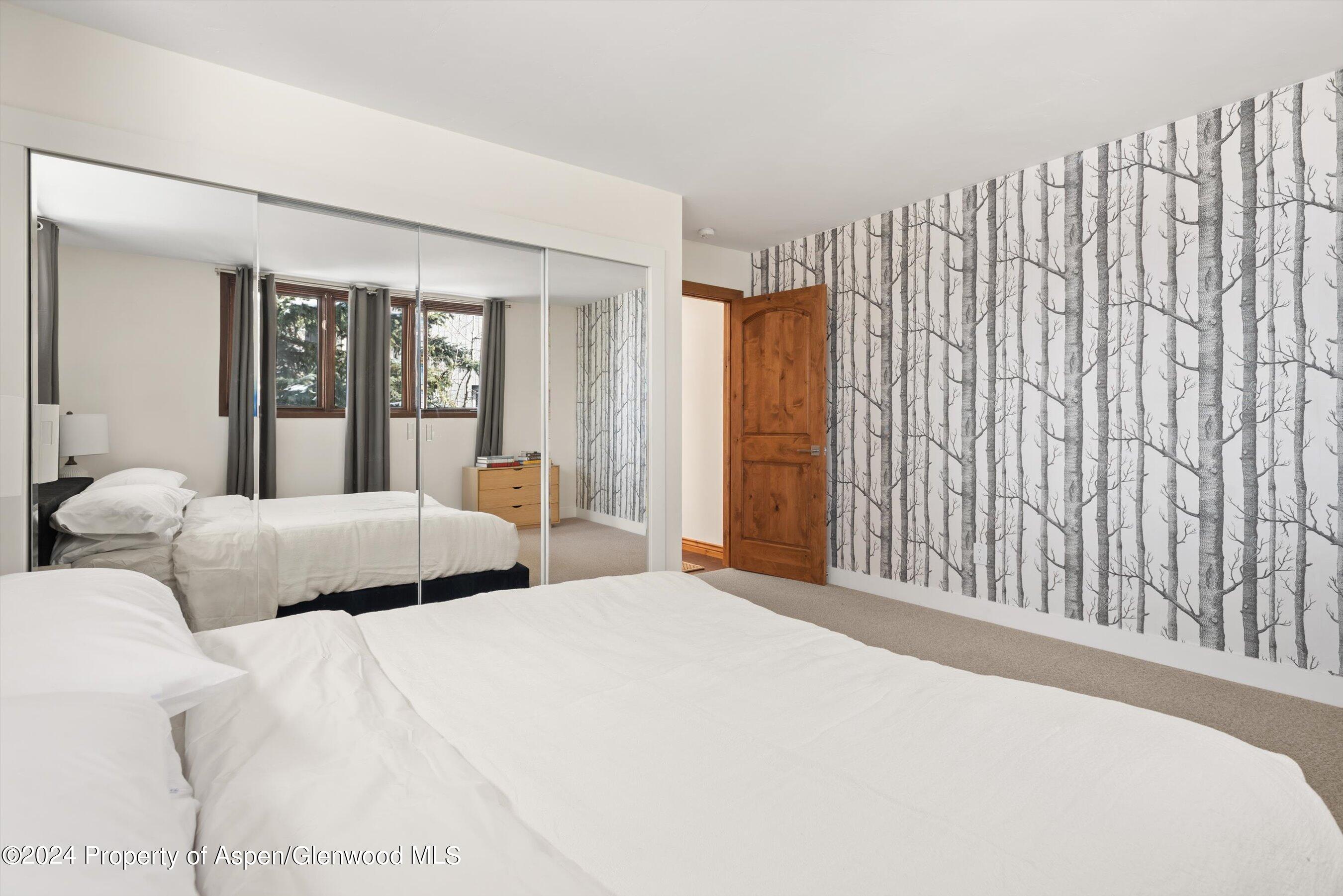 382 Meadow Ranch Road Snowmass Village CO 81615