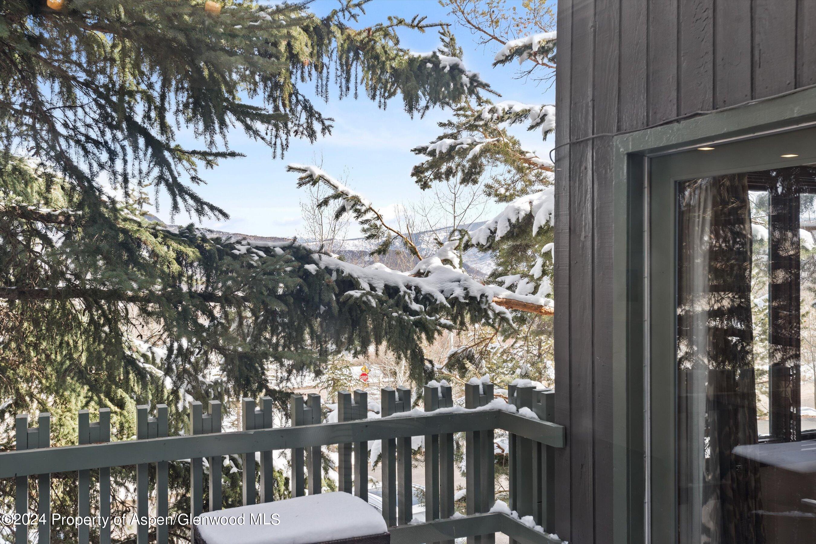 382 Meadow Ranch Road Snowmass Village CO 81615