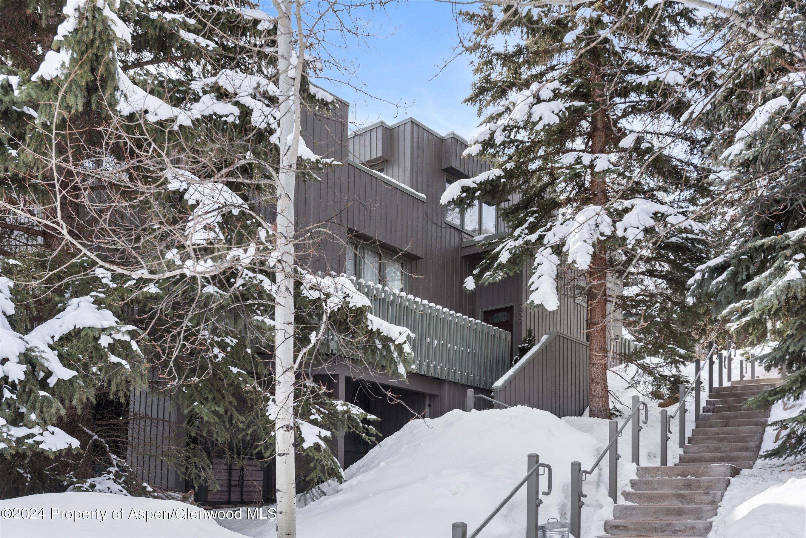 382 Meadow Ranch Road Snowmass Village CO 81615