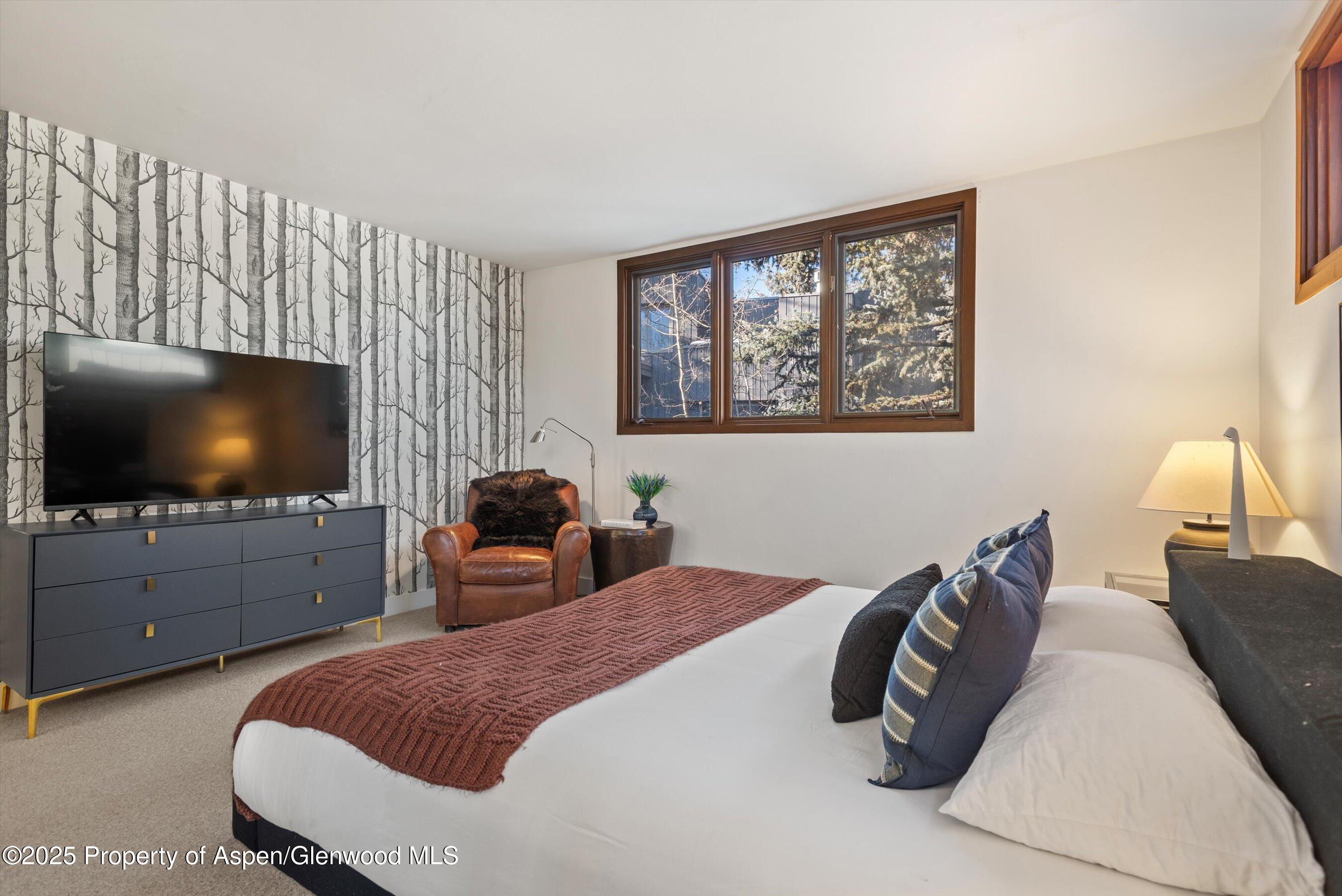 382 Meadow Ranch Road Snowmass Village CO 81615