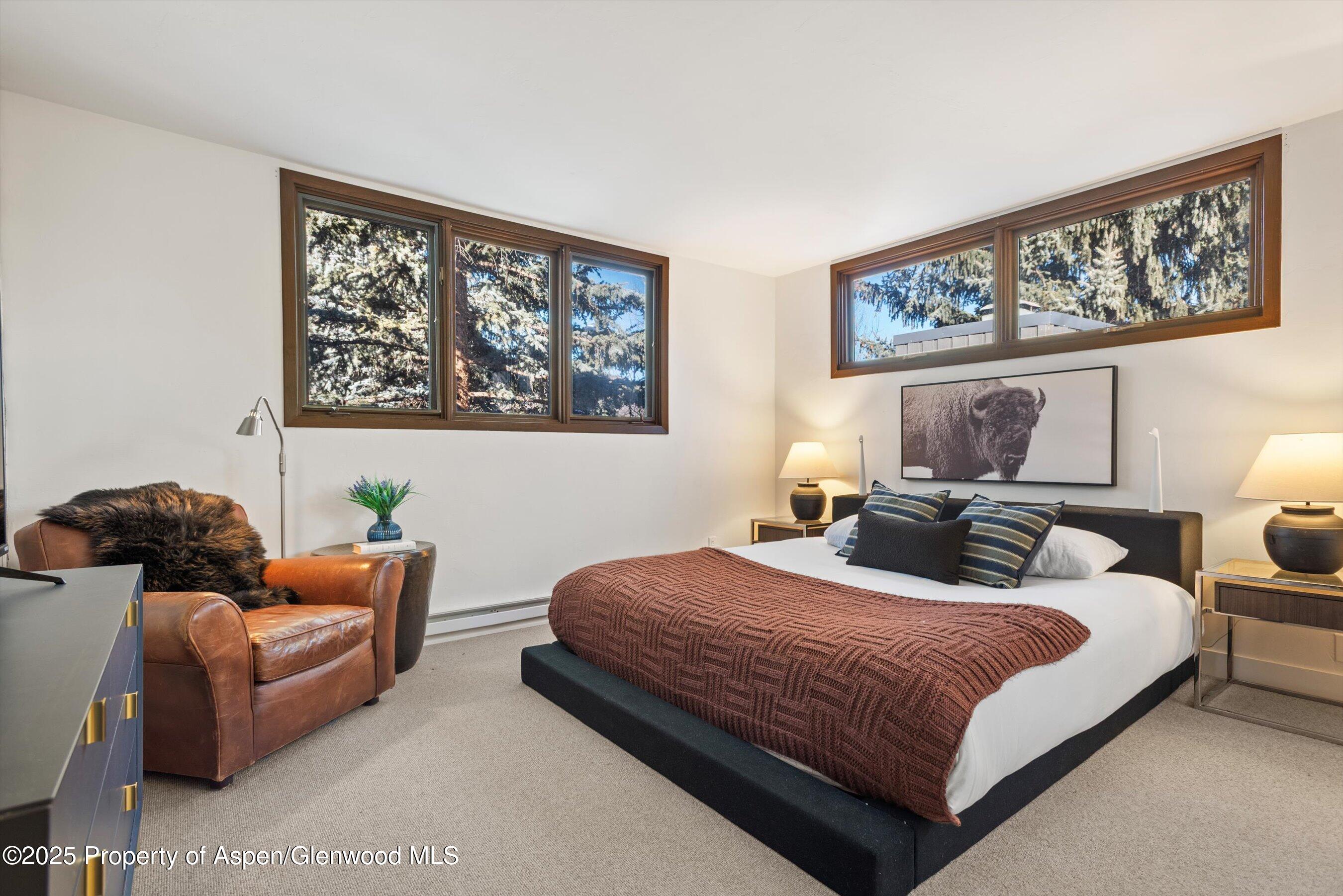 382 Meadow Ranch Road Snowmass Village CO 81615