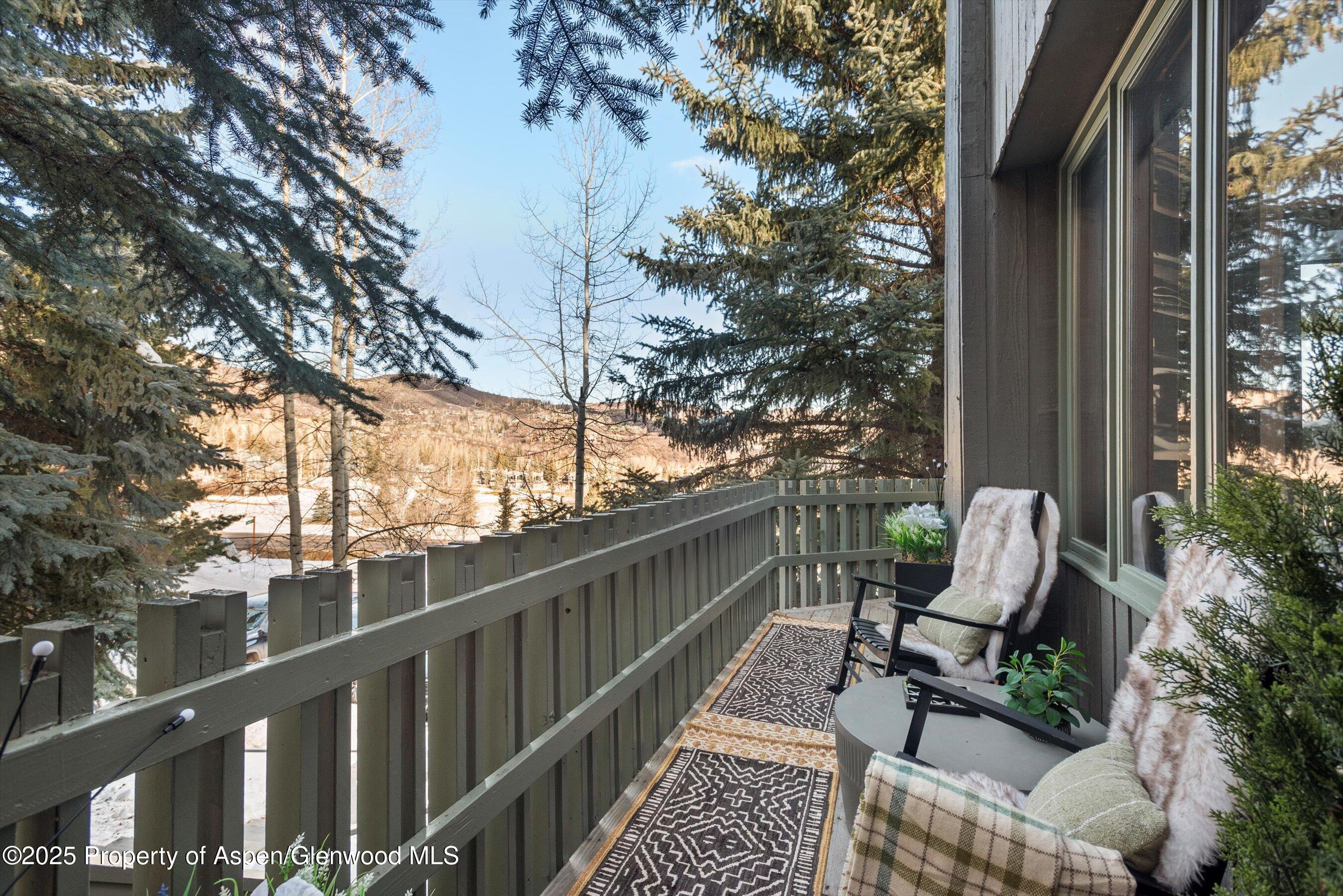 382 Meadow Ranch Road Snowmass Village CO 81615