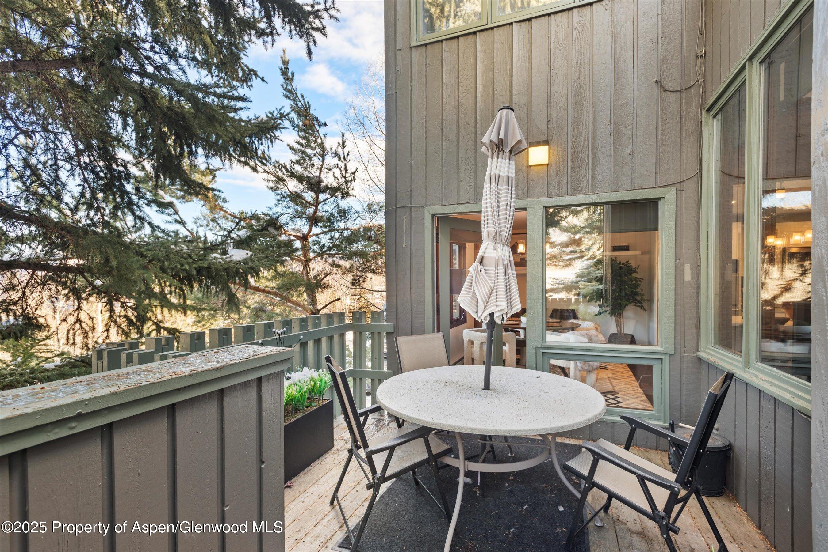 382 Meadow Ranch Road Snowmass Village CO 81615