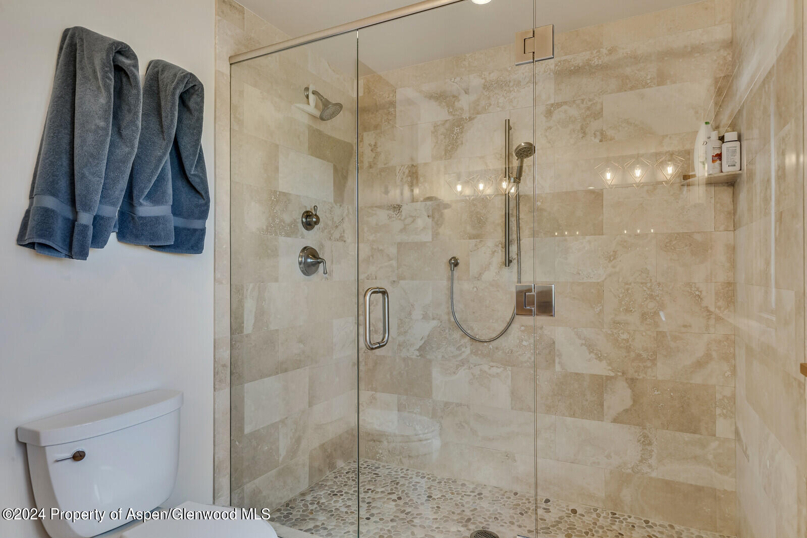 138 Club Lodge Drive Carbondale CO 81623