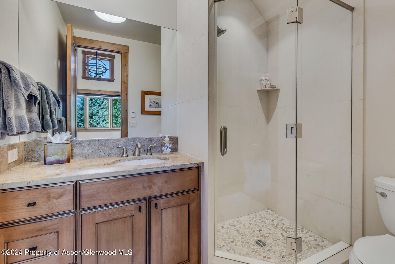 138 Club Lodge Drive Carbondale CO 81623