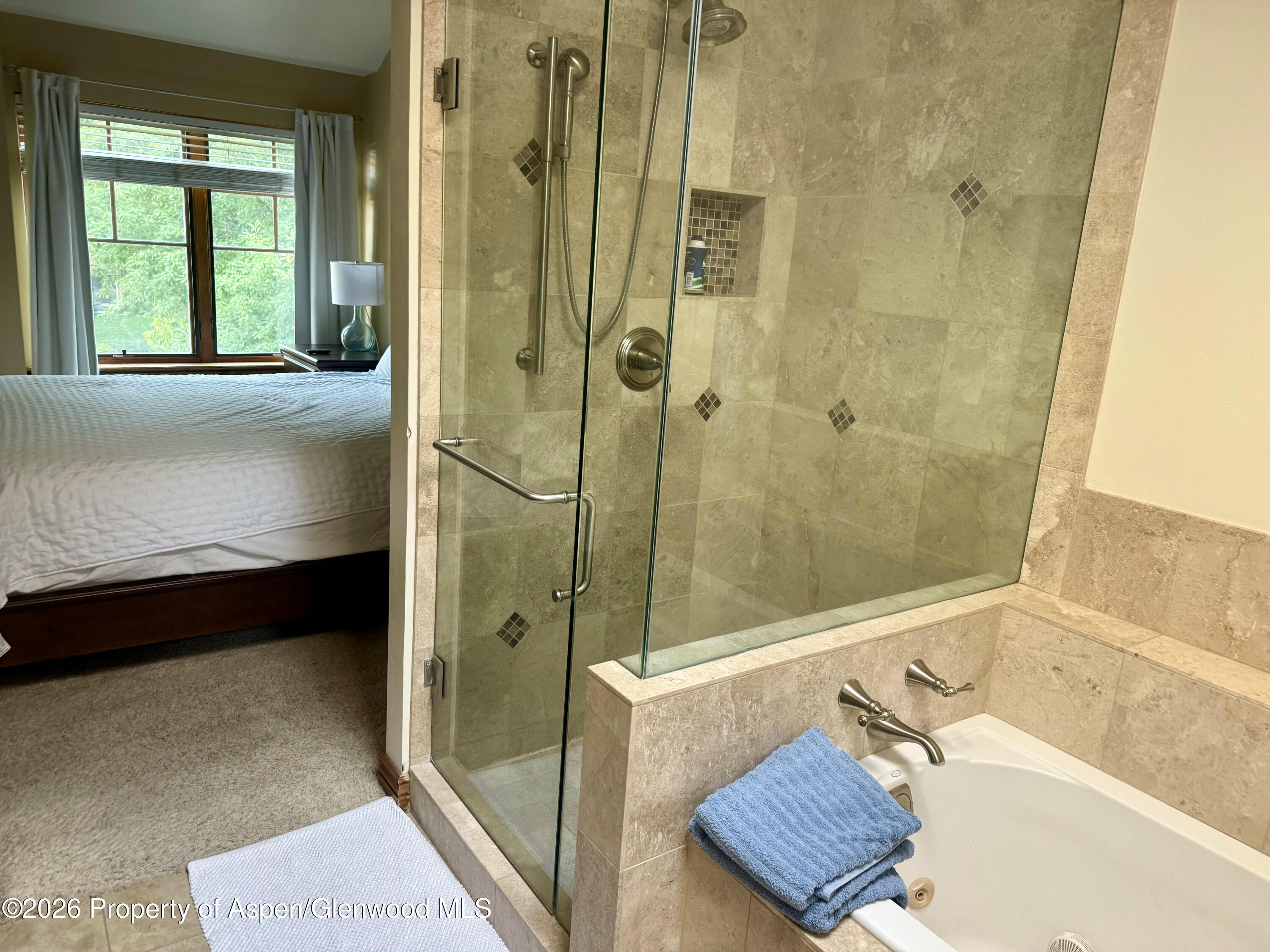 241 Deer Run Carbondale CO 81623