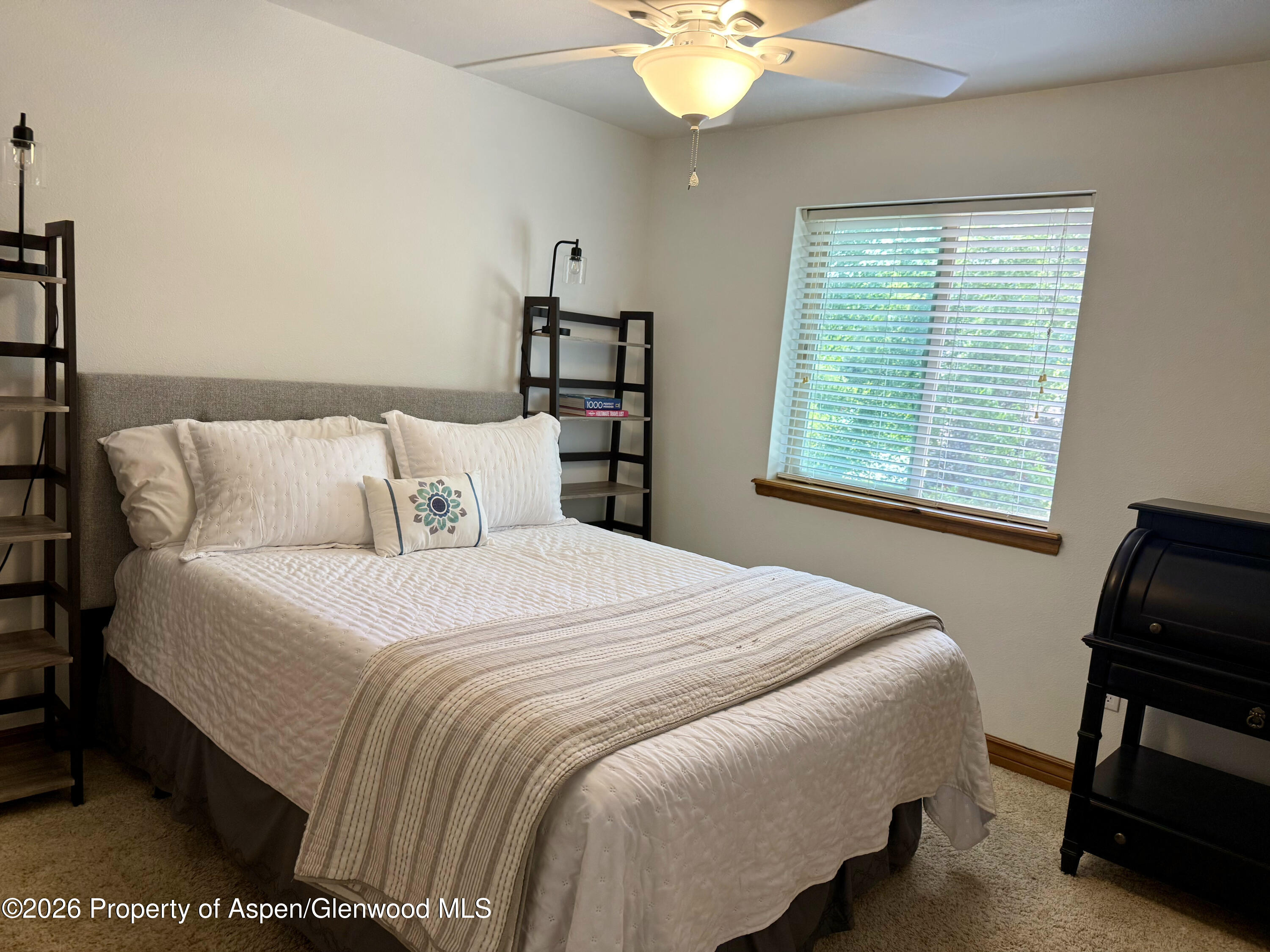 241 Deer Run Carbondale CO 81623