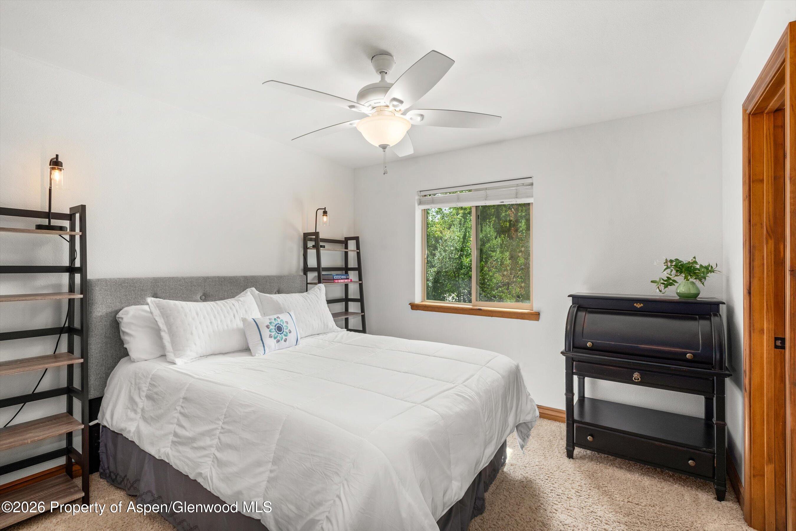 241 Deer Run Carbondale CO 81623