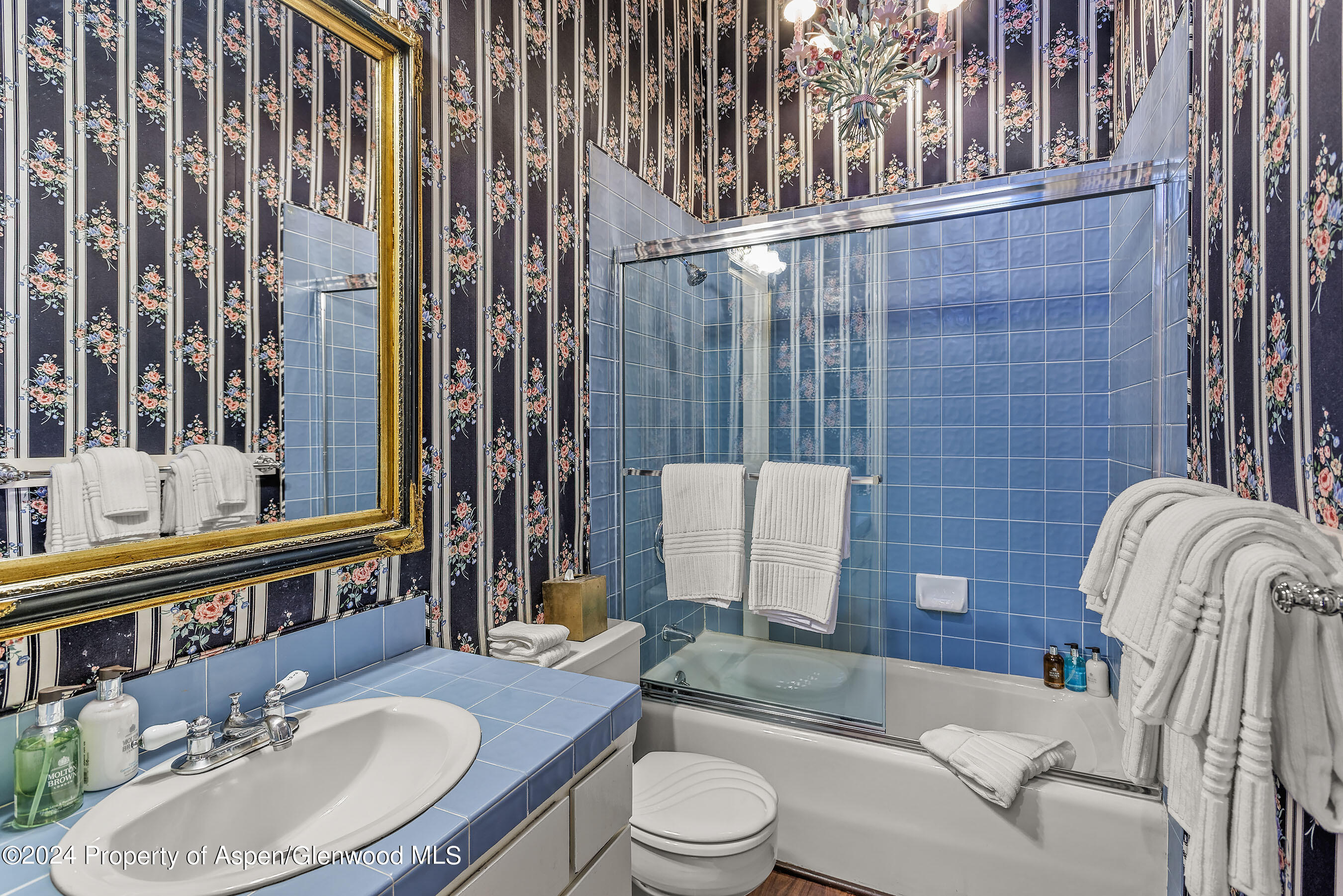 305 S Galena Street Aspen CO 81611