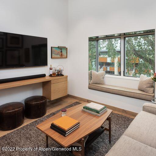 119 E Cooper Avenue Aspen CO 81611