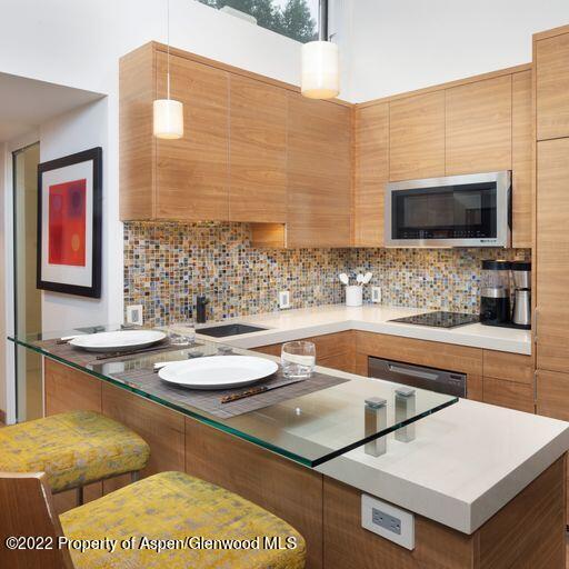 119 E Cooper Avenue Aspen CO 81611