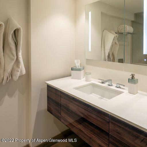 119 E Cooper Avenue Aspen CO 81611