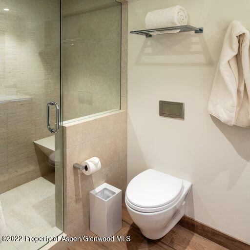 119 E Cooper Avenue Aspen CO 81611