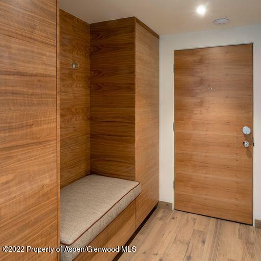 119 E Cooper Avenue Aspen CO 81611