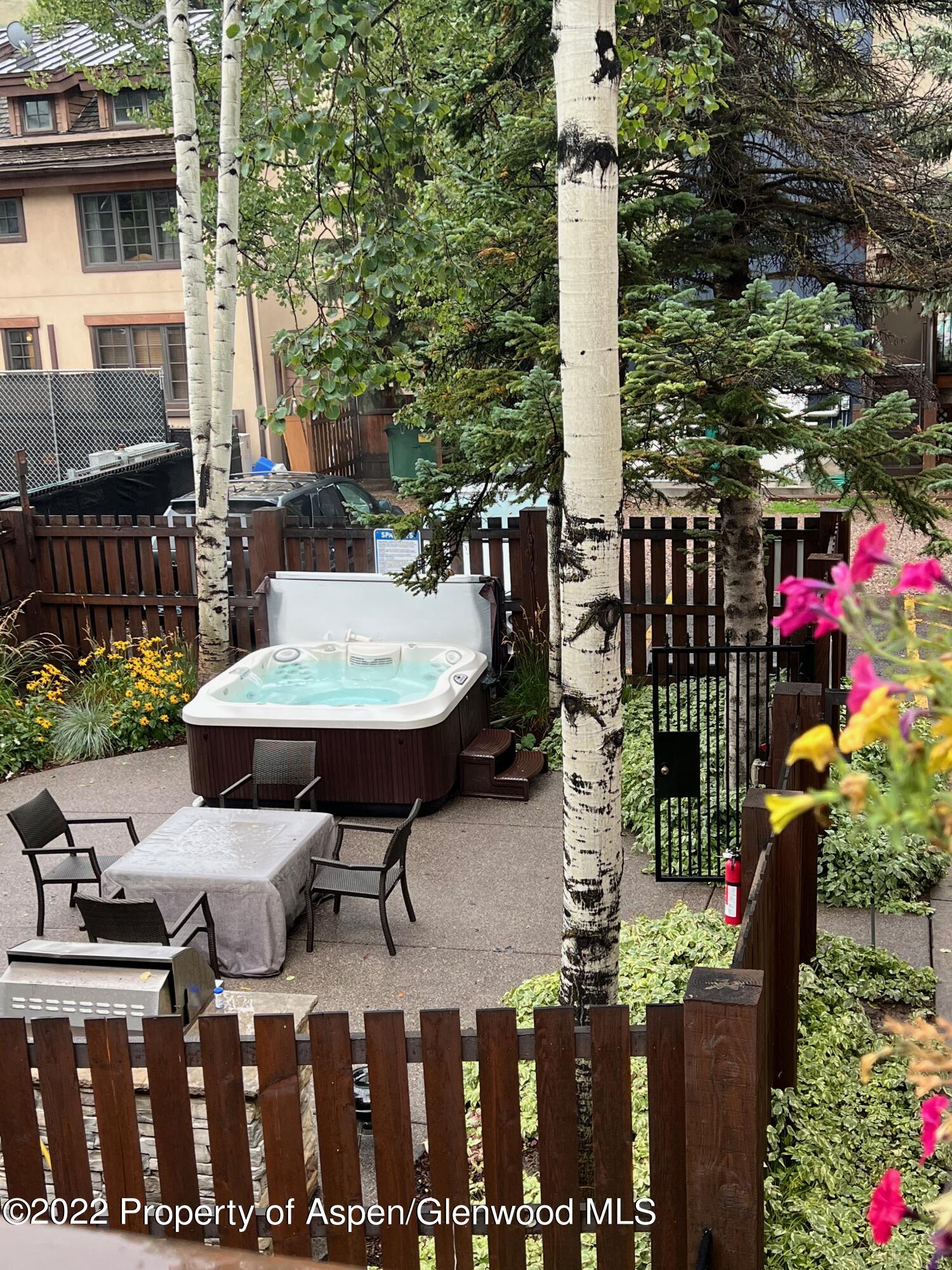 119 E Cooper Avenue Aspen CO 81611