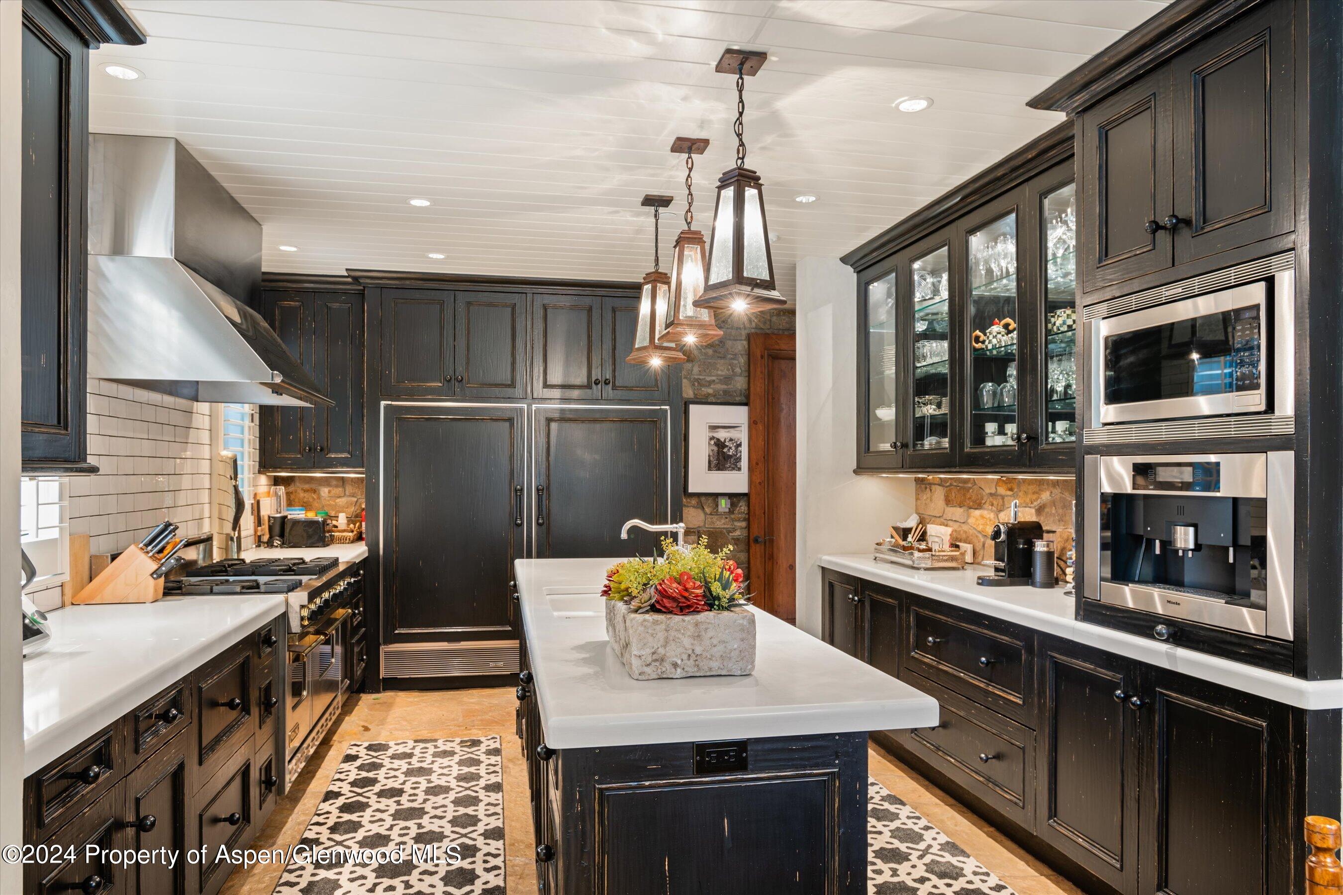 303 W Hopkins Avenue Aspen CO 81611