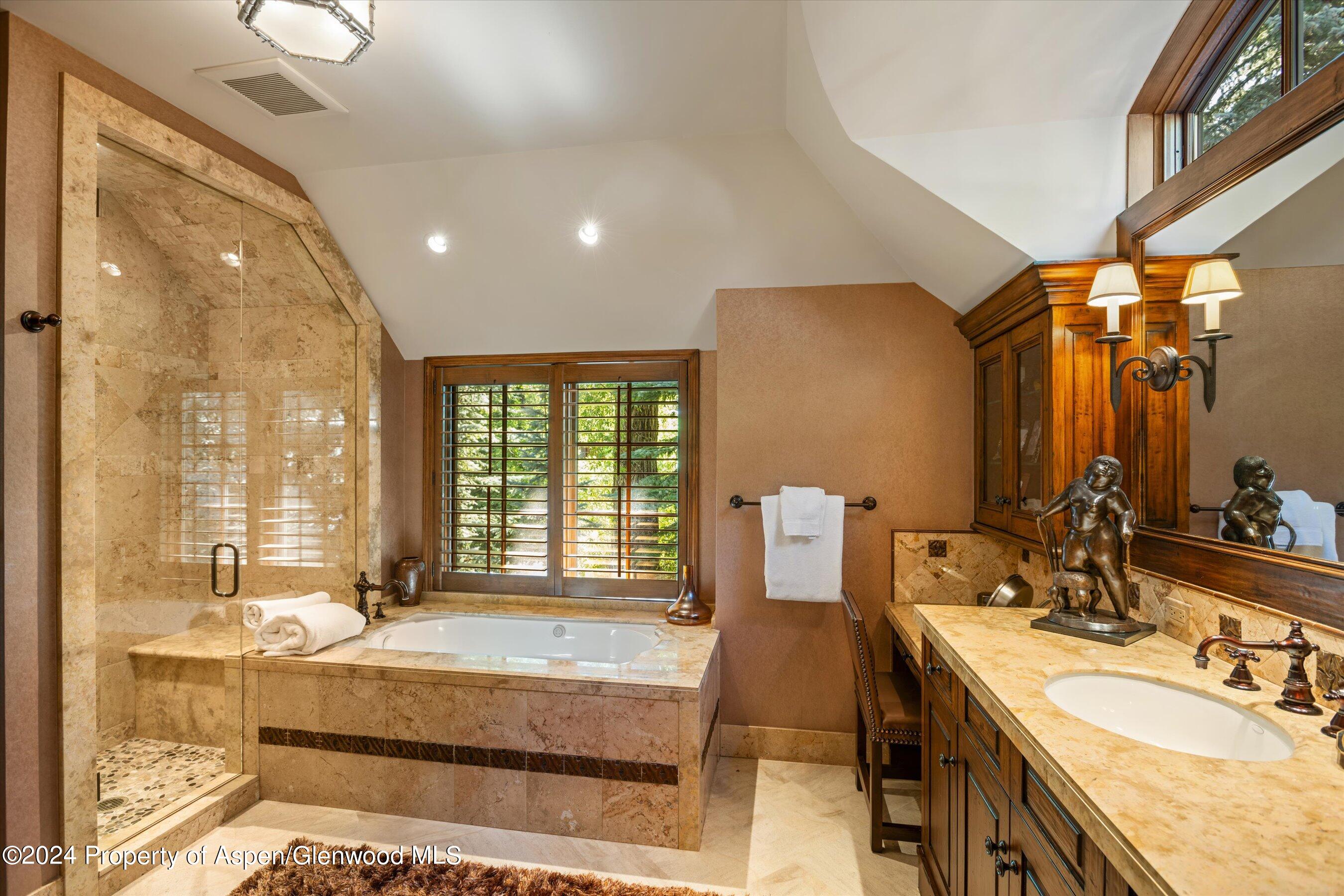 303 W Hopkins Avenue Aspen CO 81611