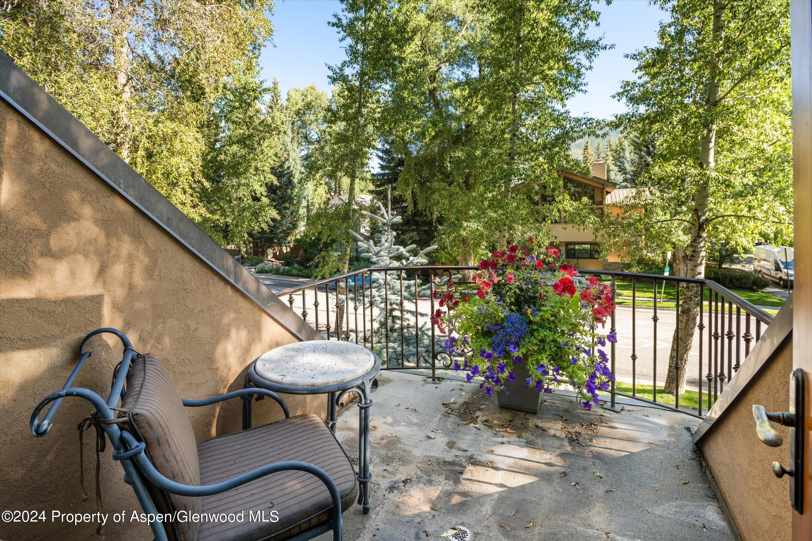 303 W Hopkins Avenue Aspen CO 81611