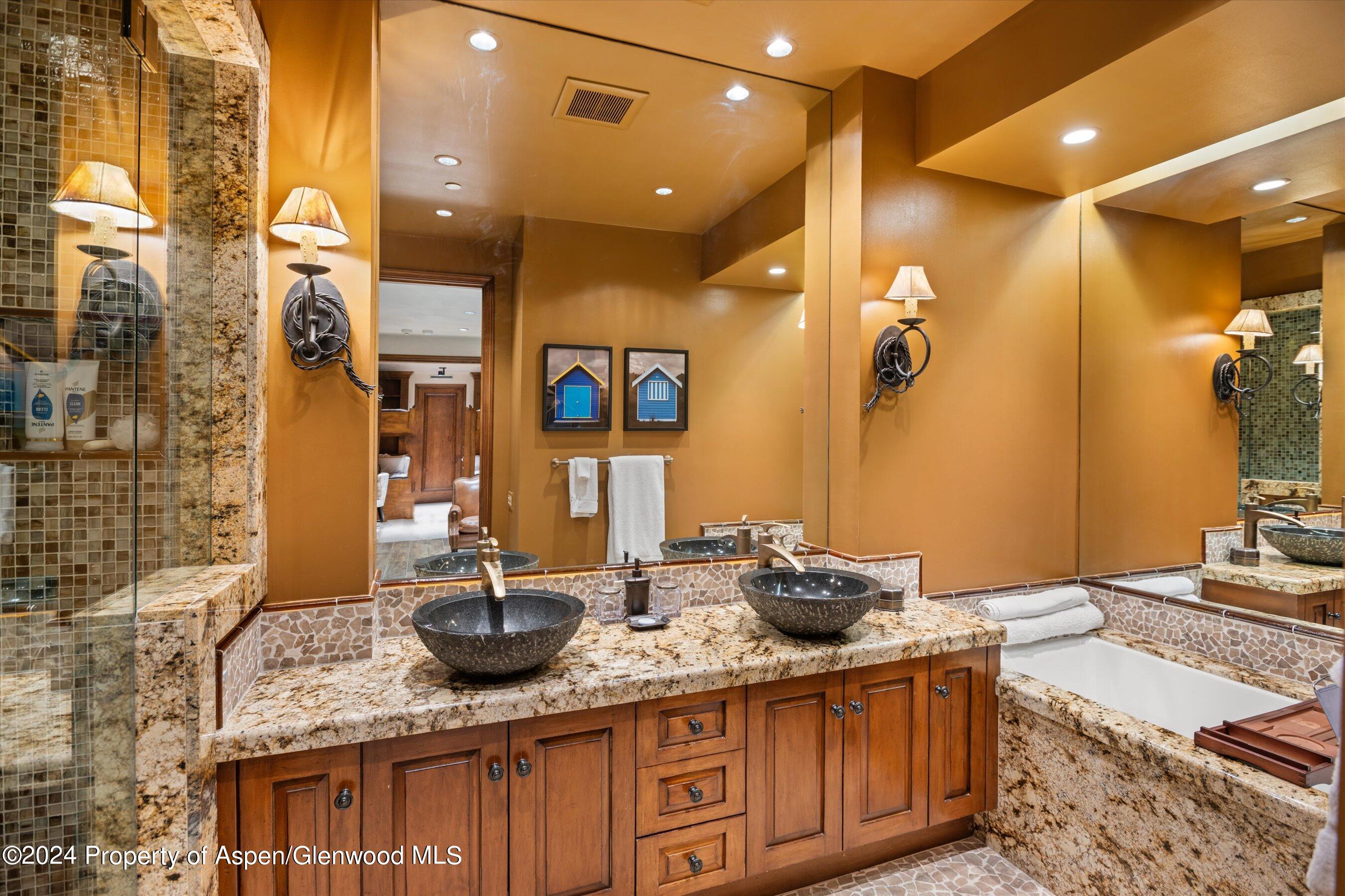 303 W Hopkins Avenue Aspen CO 81611