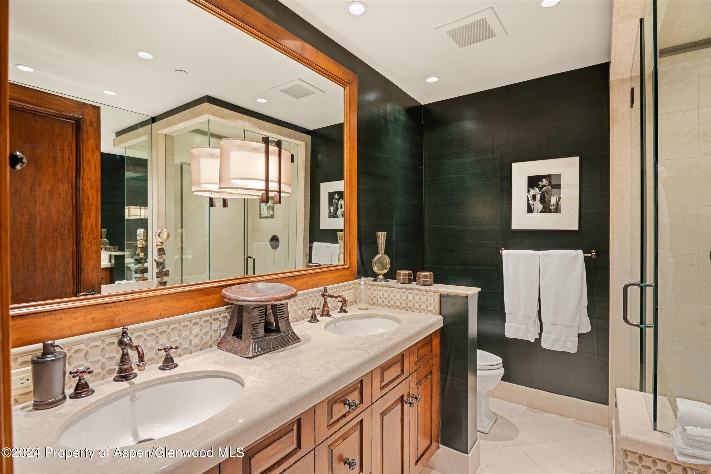 303 W Hopkins Avenue Aspen CO 81611