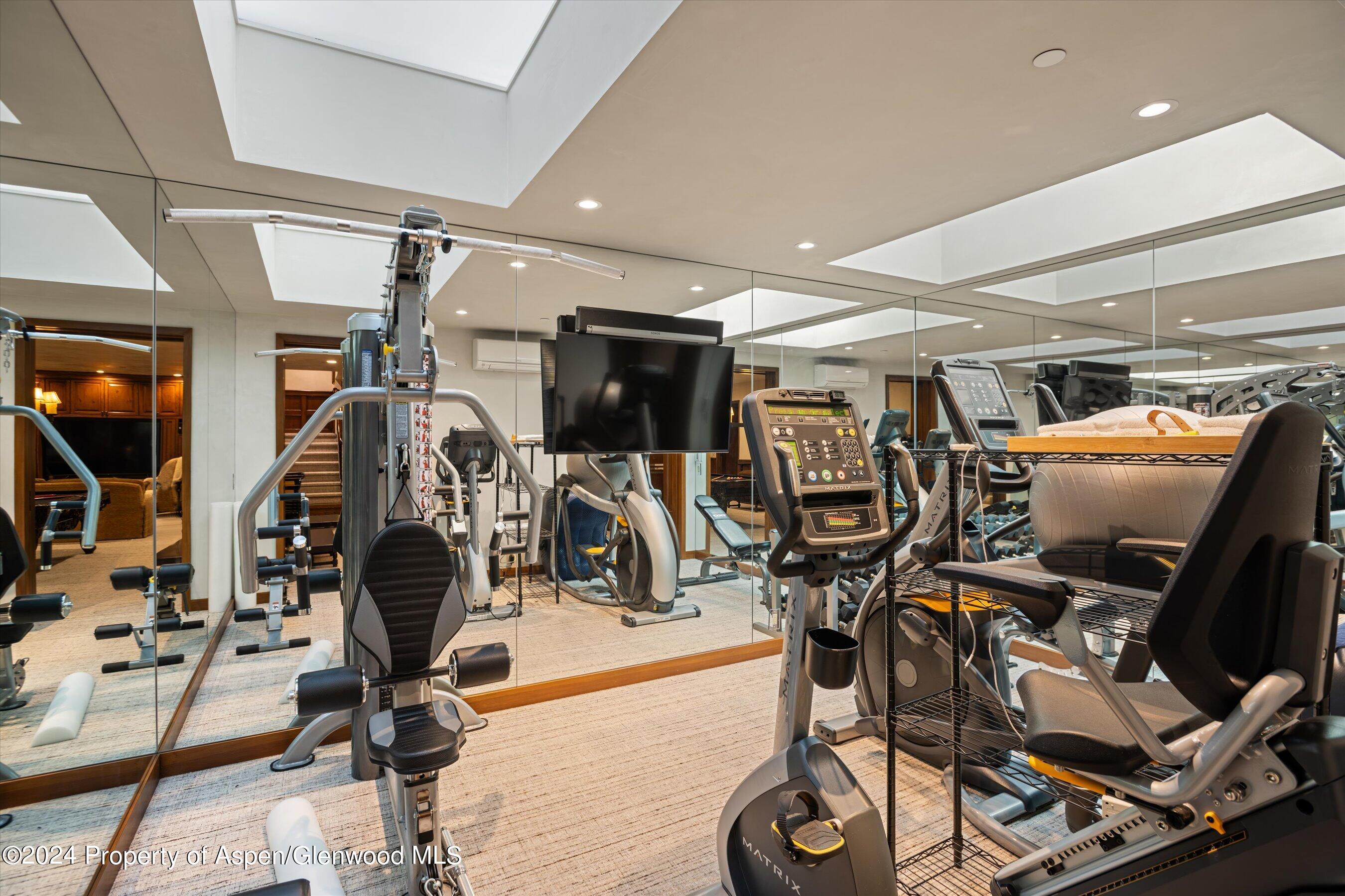 303 W Hopkins Avenue Aspen CO 81611