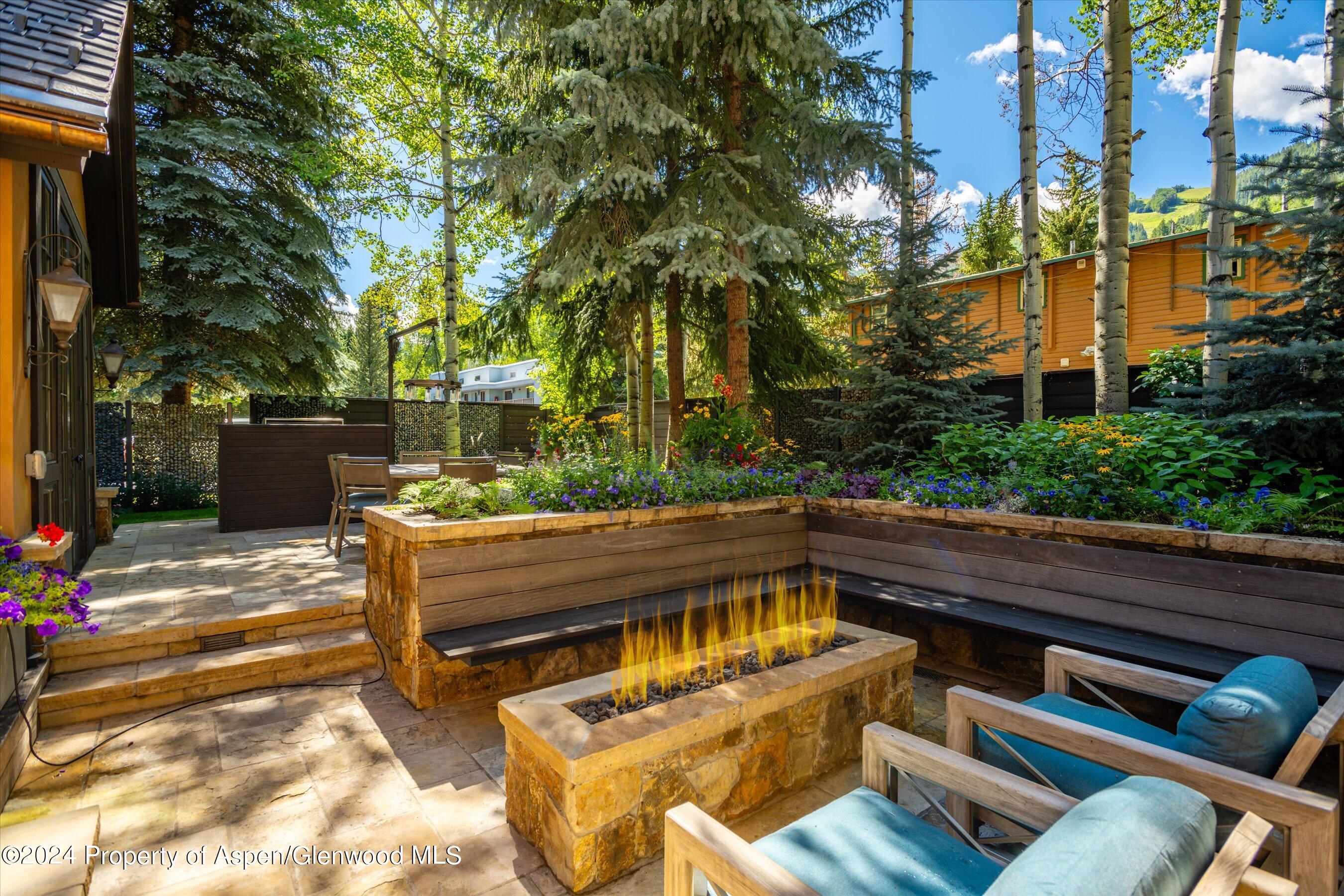 303 W Hopkins Avenue Aspen CO 81611