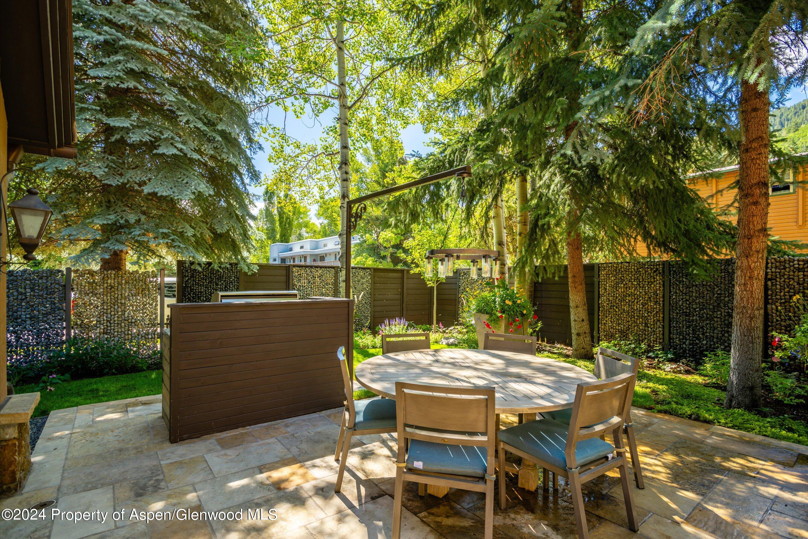 303 W Hopkins Avenue Aspen CO 81611