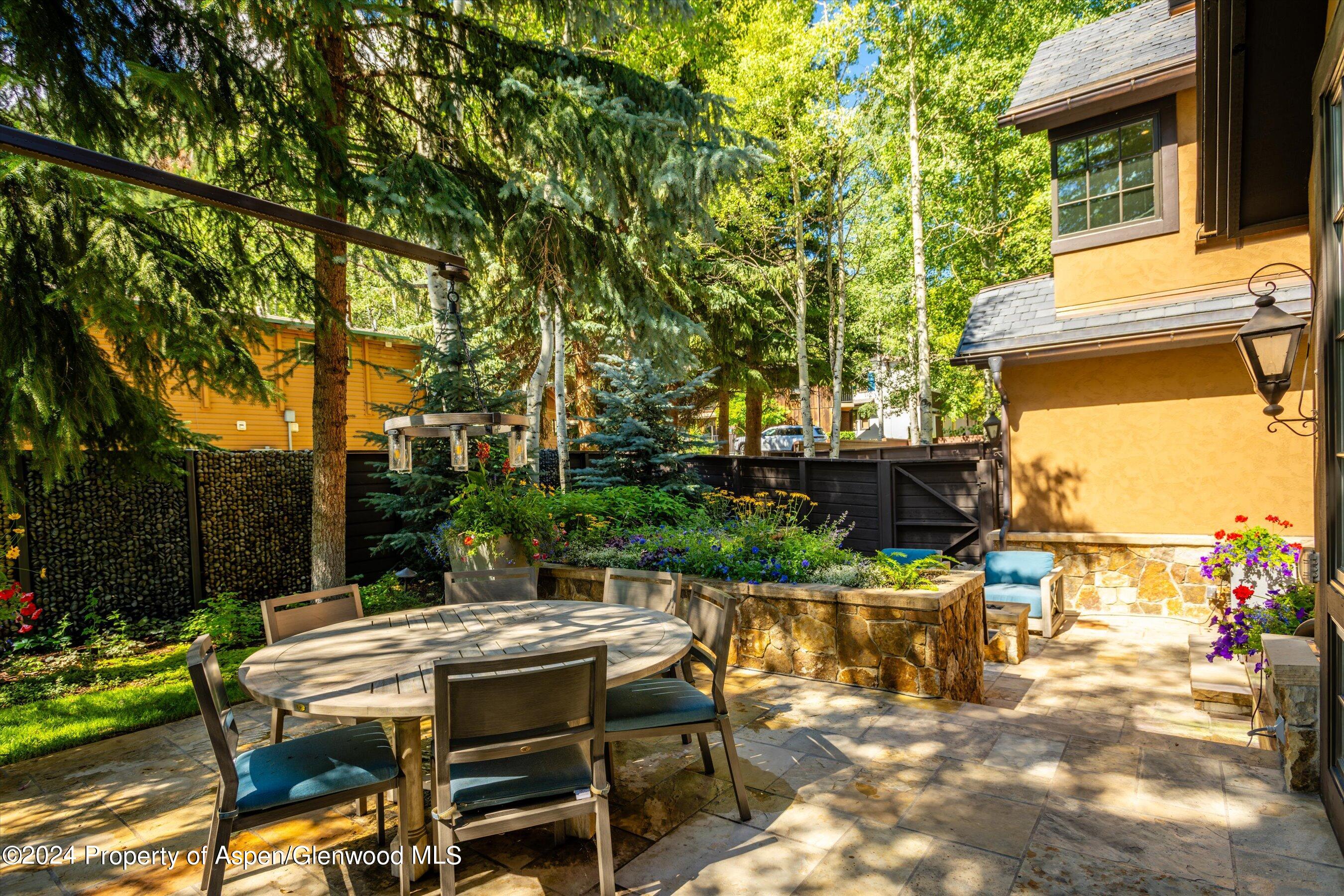 303 W Hopkins Avenue Aspen CO 81611