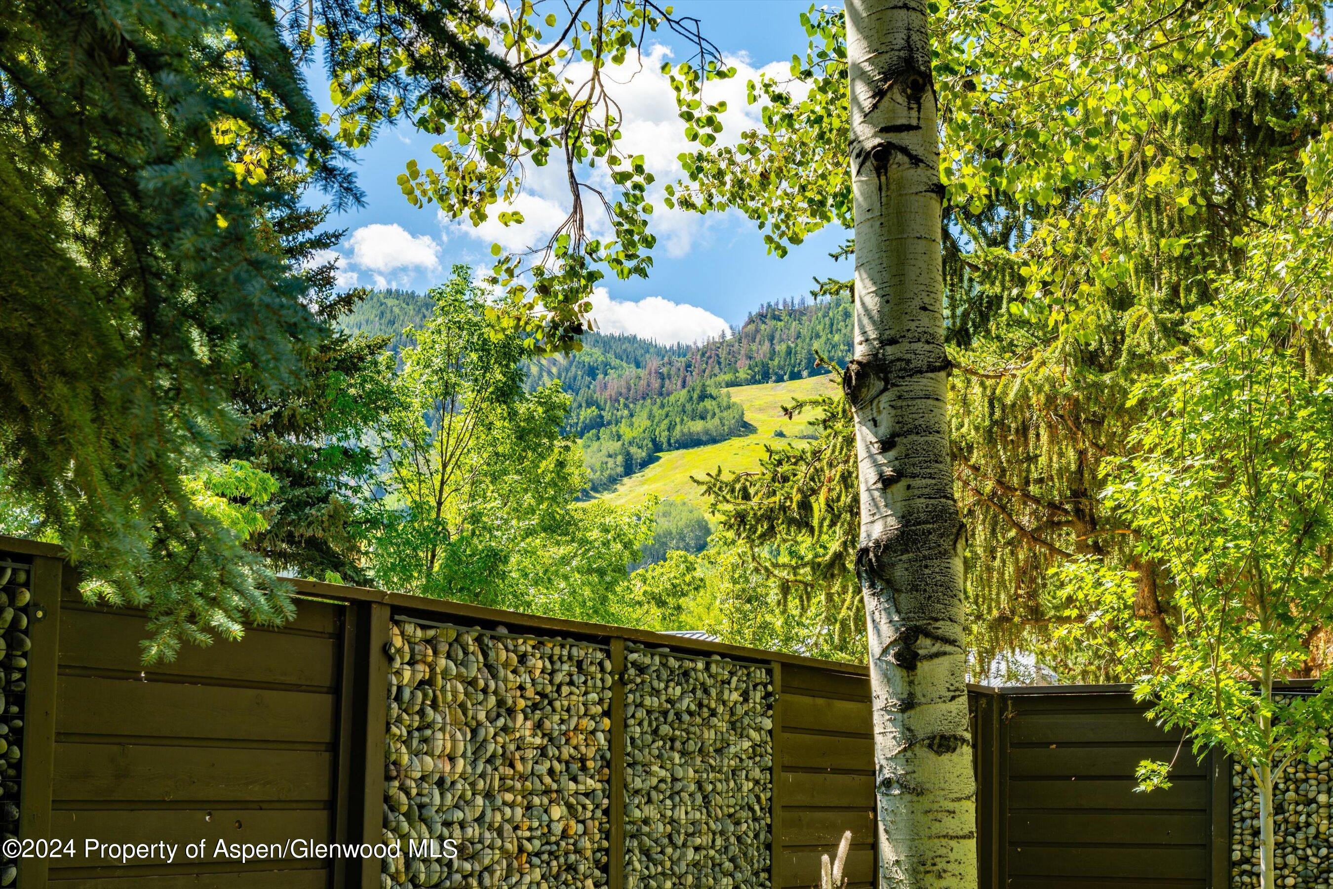 303 W Hopkins Avenue Aspen CO 81611