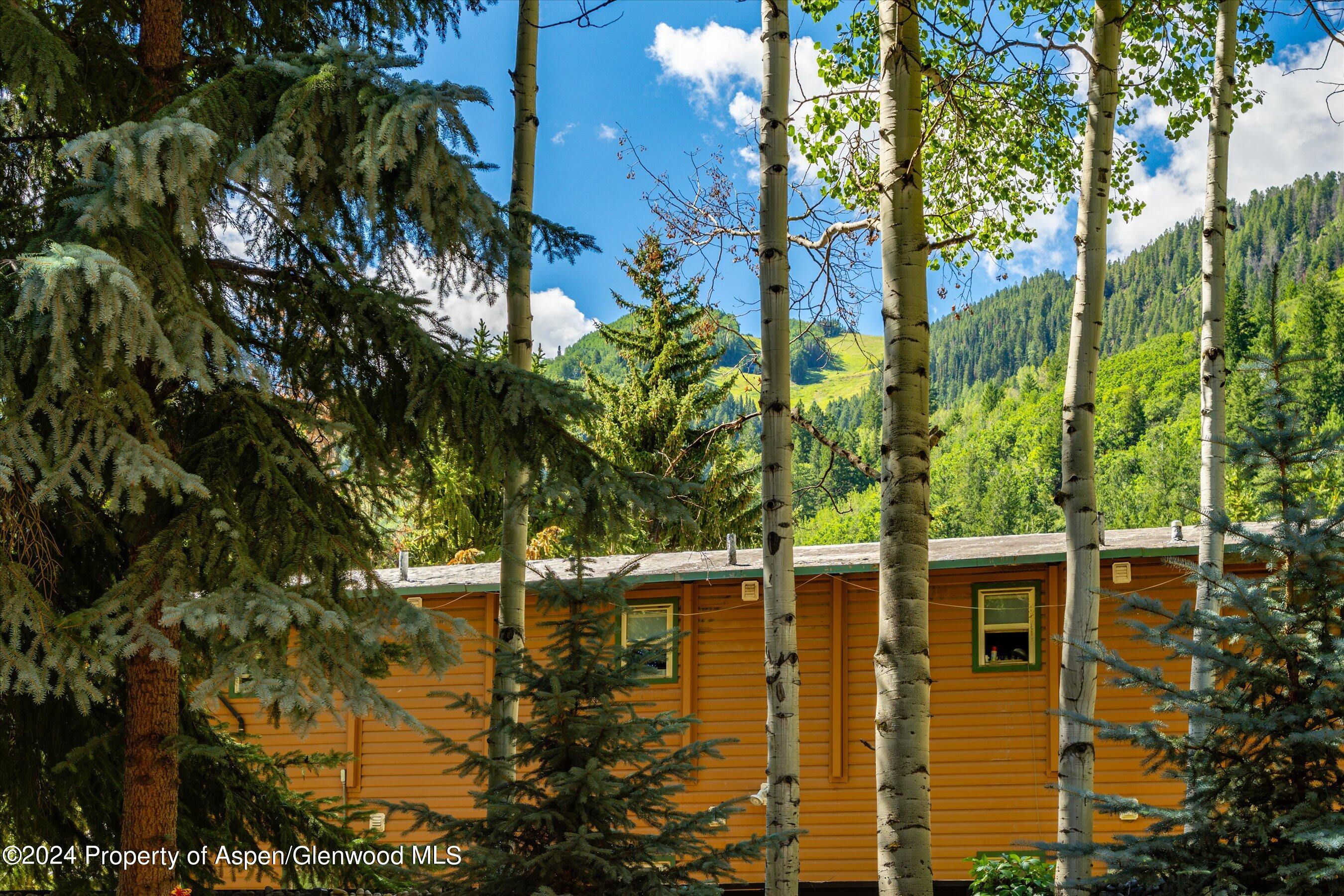 303 W Hopkins Avenue Aspen CO 81611