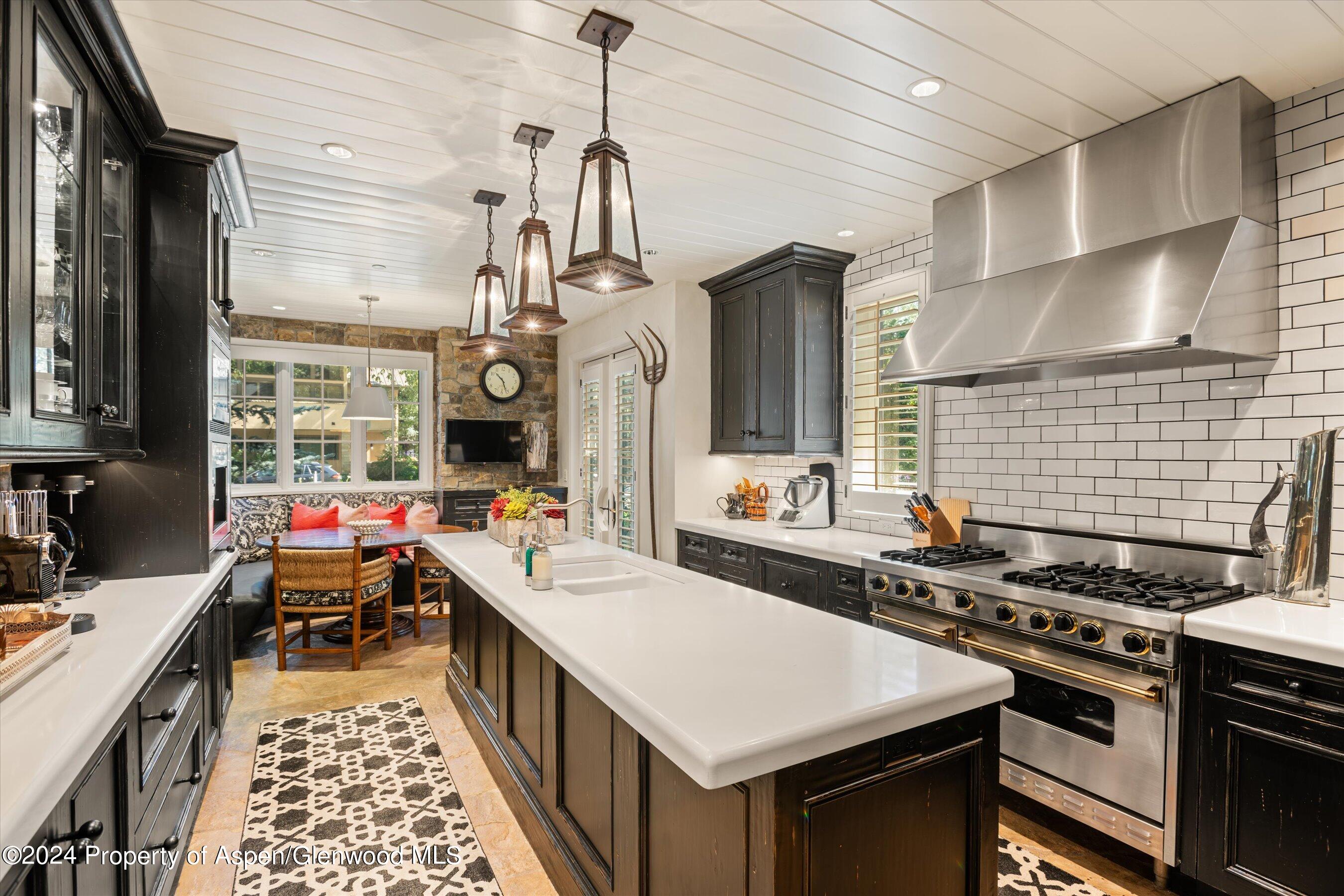 303 W Hopkins Avenue Aspen CO 81611