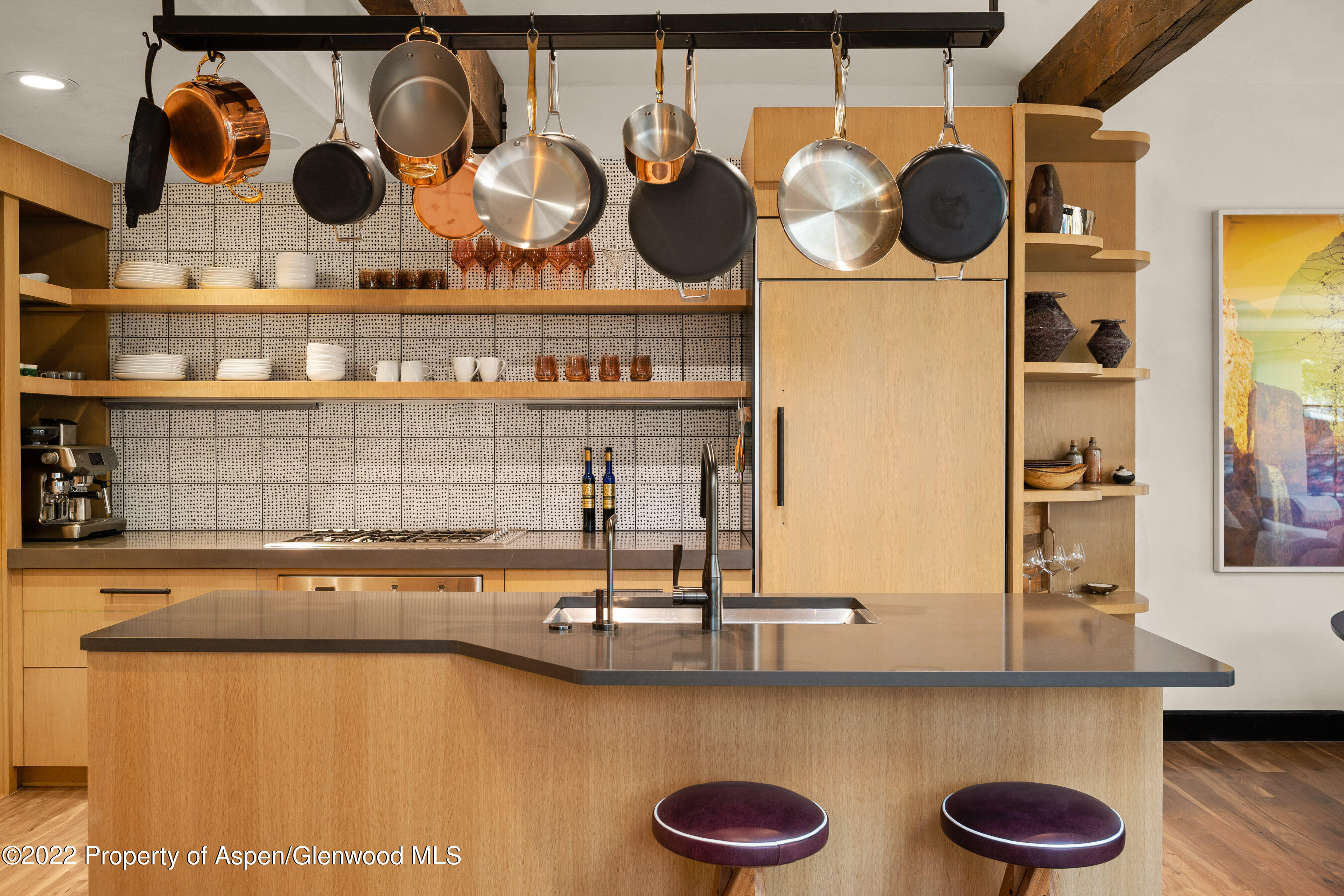 940 E Hyman Avenue Aspen CO 81611