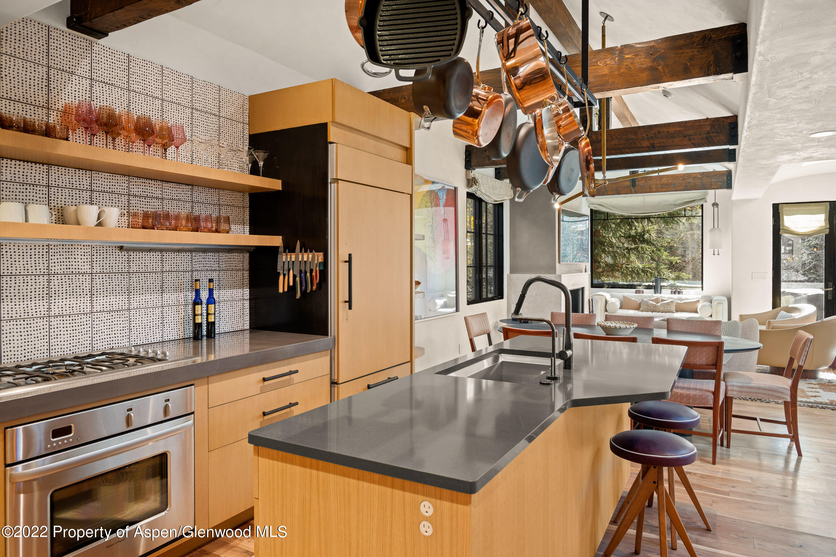 940 E Hyman Avenue Aspen CO 81611