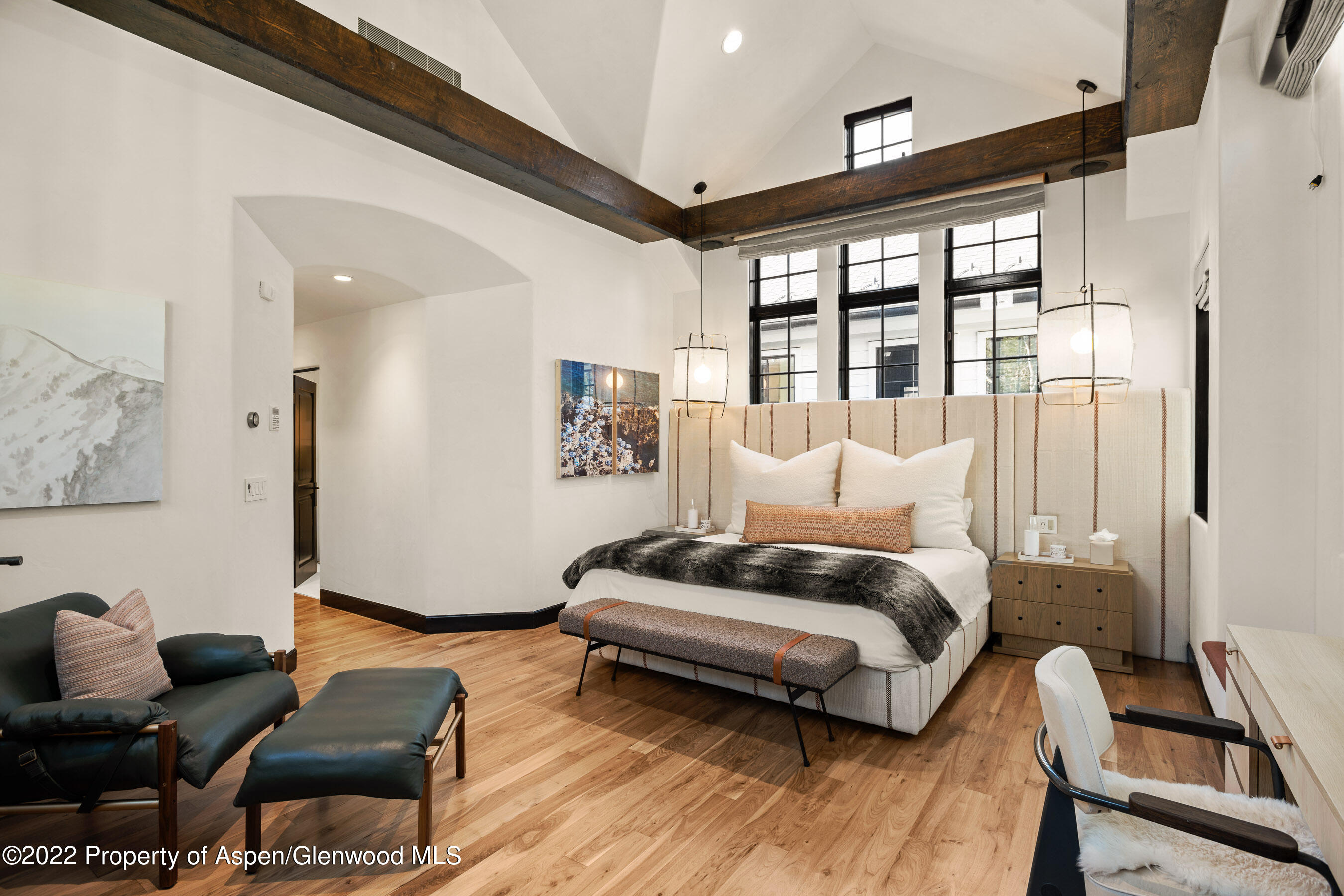 940 E Hyman Avenue Aspen CO 81611