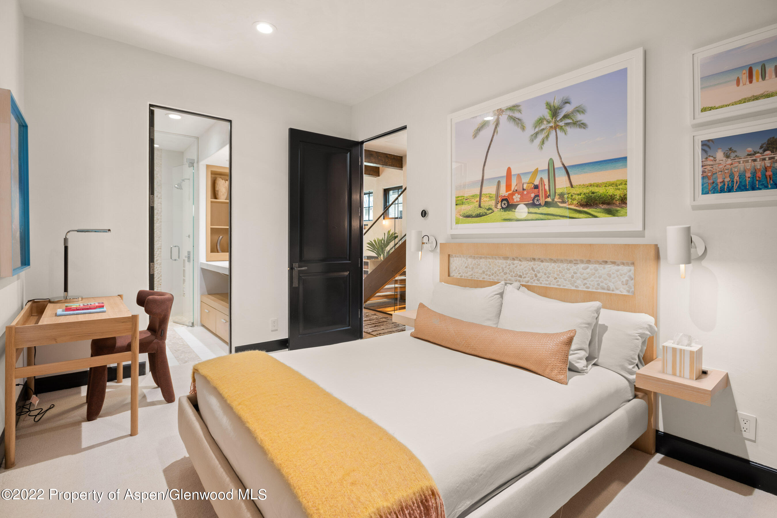 940 E Hyman Avenue Aspen CO 81611