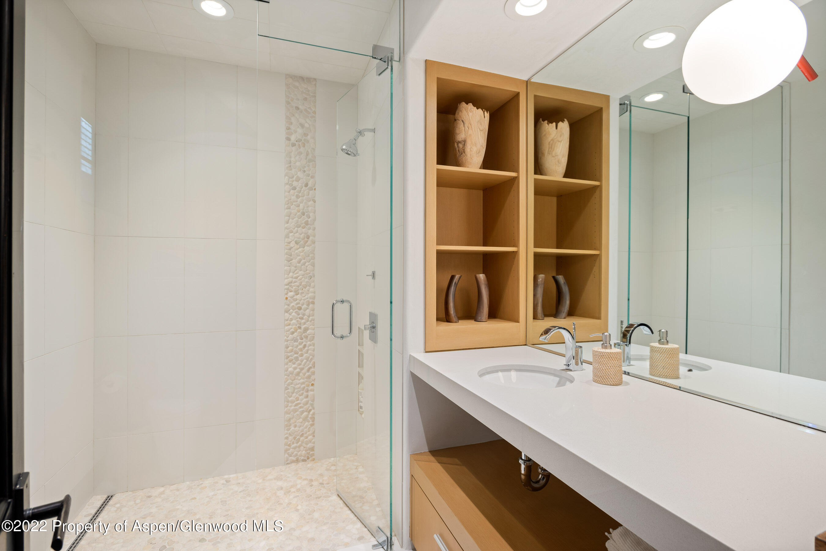 940 E Hyman Avenue Aspen CO 81611
