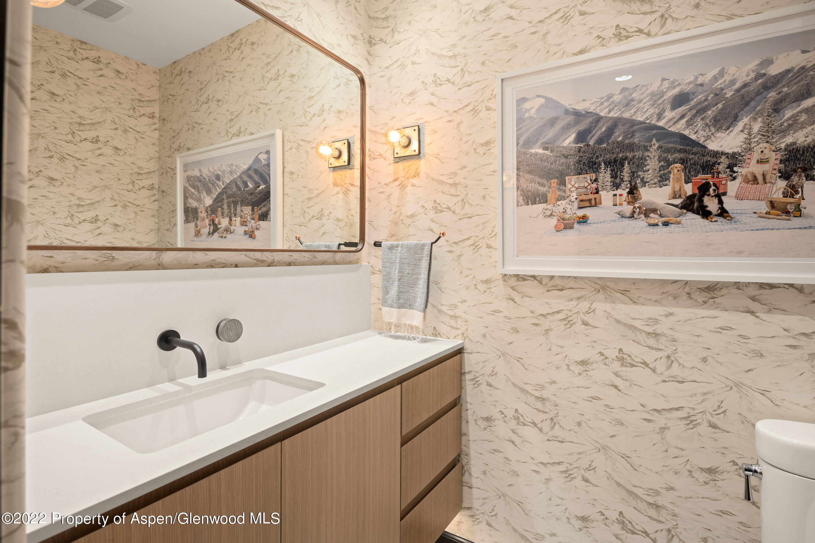 940 E Hyman Avenue Aspen CO 81611