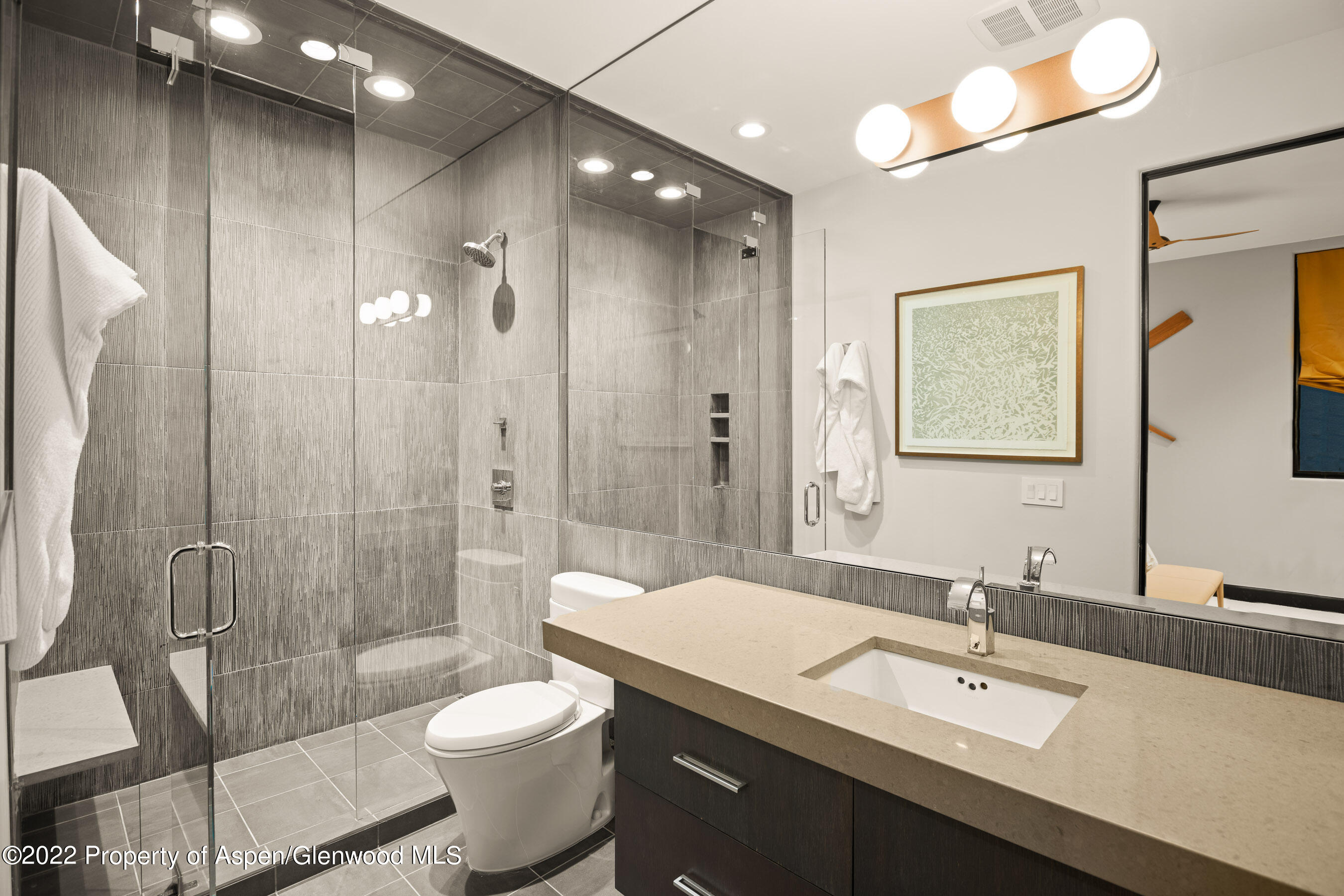 940 E Hyman Avenue Aspen CO 81611