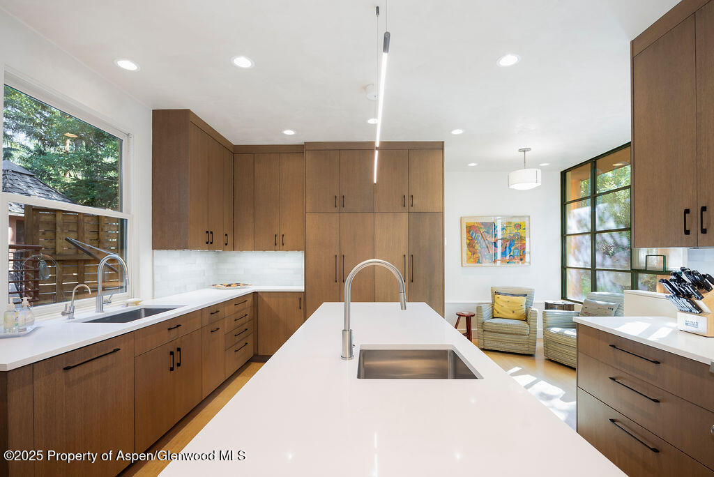 109 Neale Avenue Aspen CO 81611