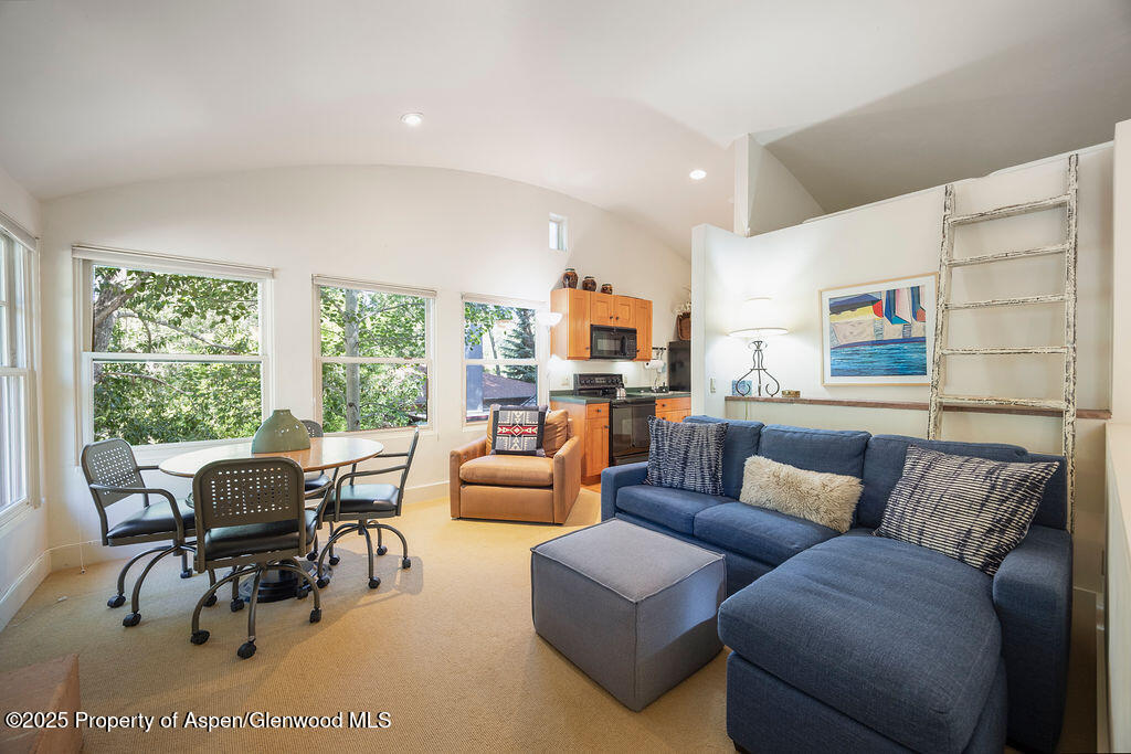 109 Neale Avenue Aspen CO 81611