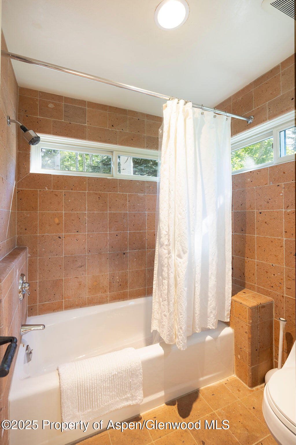 109 Neale Avenue Aspen CO 81611