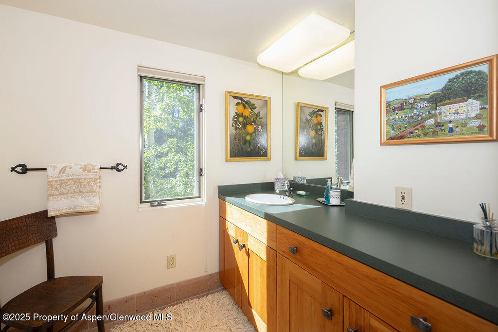 109 Neale Avenue Aspen CO 81611