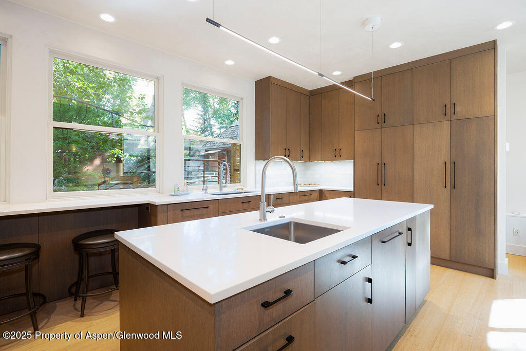 109 Neale Avenue Aspen CO 81611