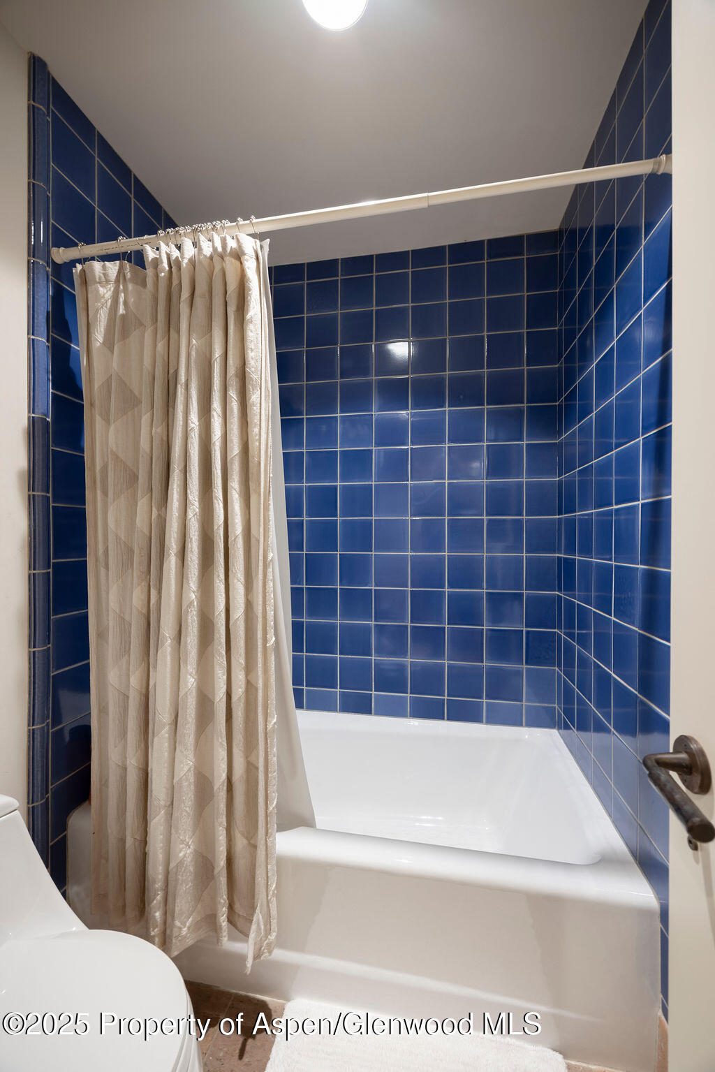 109 Neale Avenue Aspen CO 81611