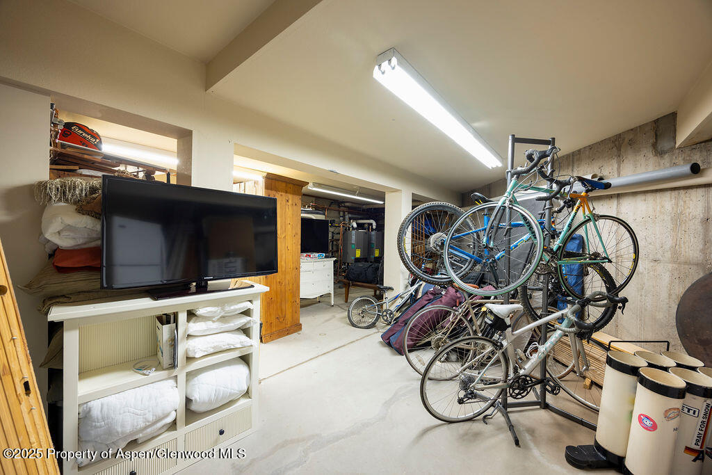 109 Neale Avenue Aspen CO 81611