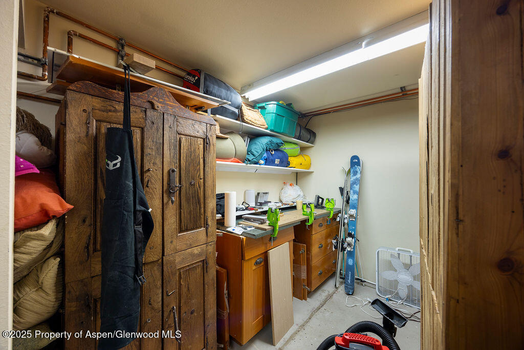 109 Neale Avenue Aspen CO 81611